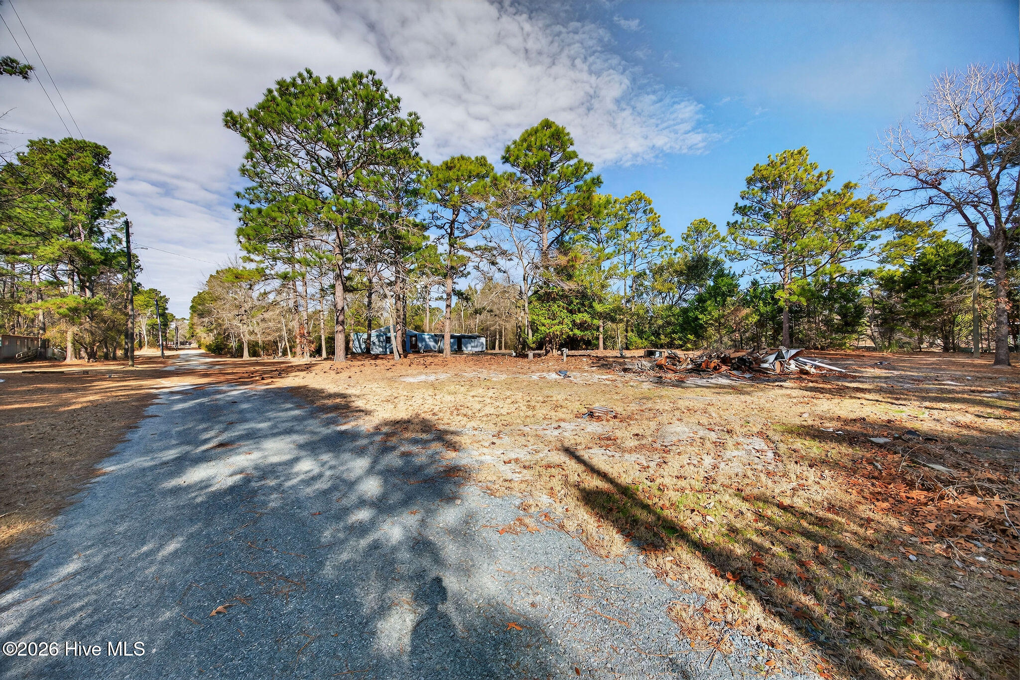 100552398 | Photo 37