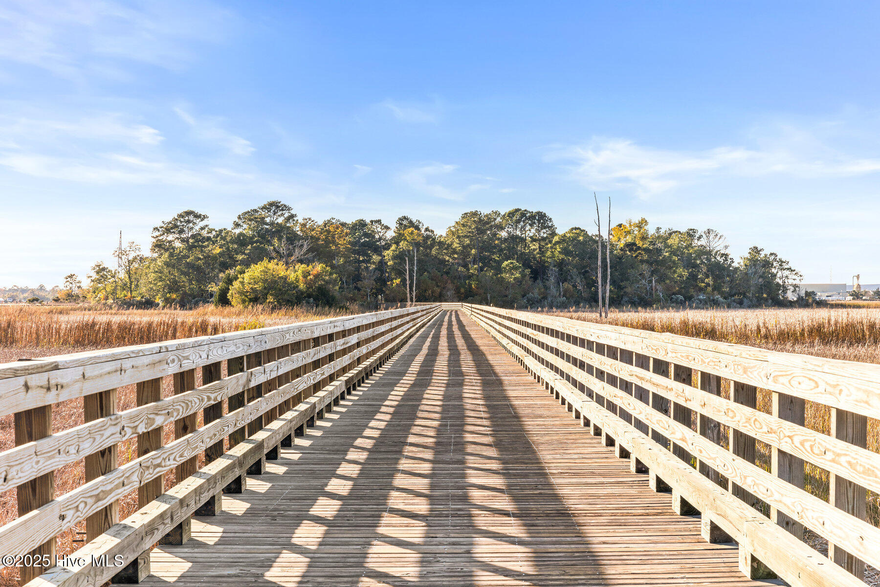 100537930 | Photo 66