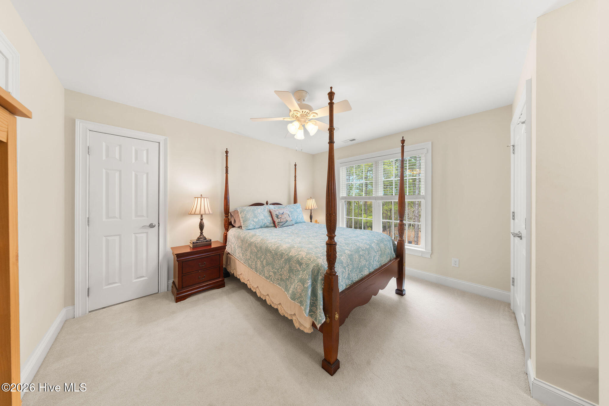 100556154 | Photo 41