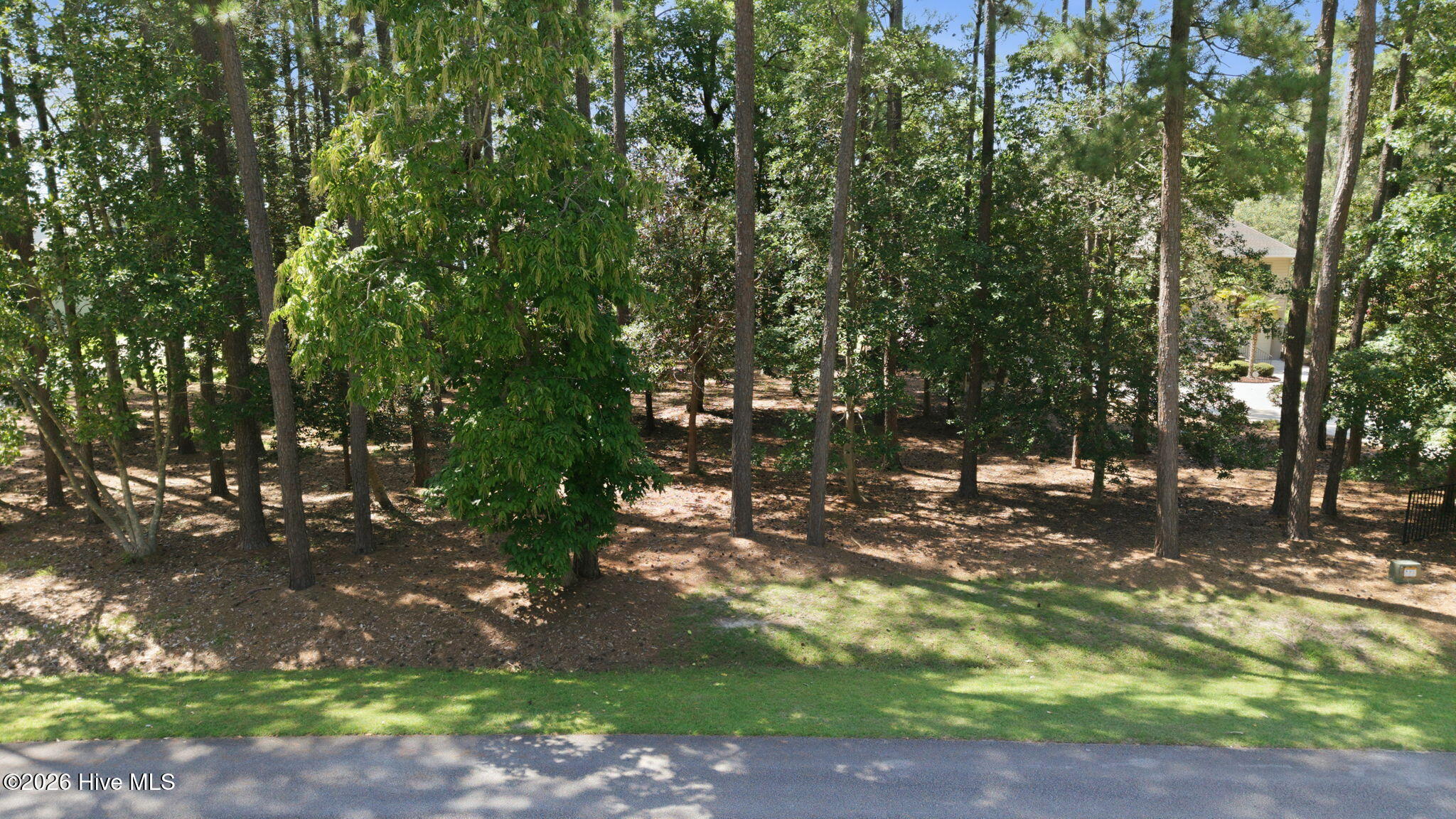 VIEW FROM LIVE OAK LANE