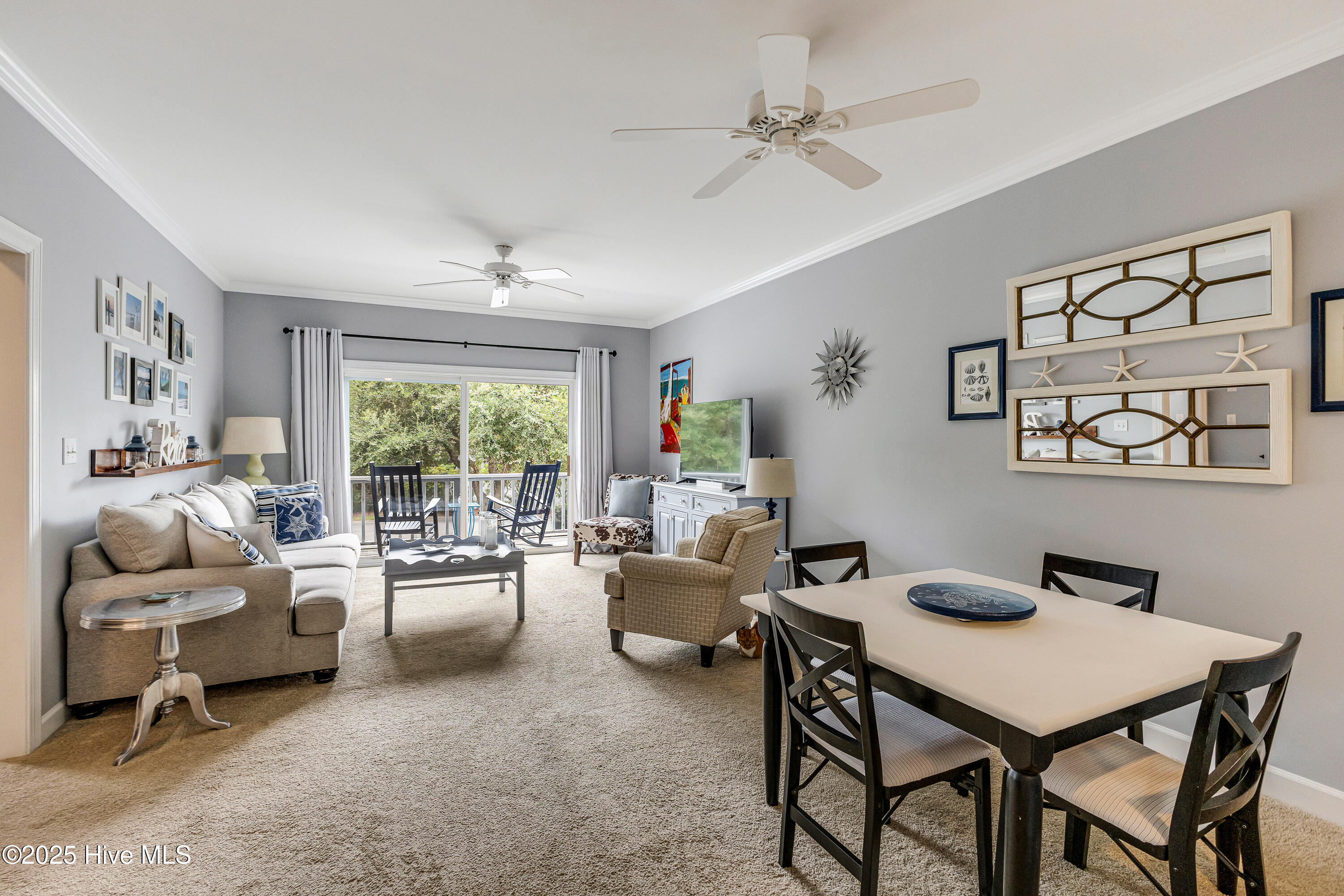 100528014 | Photo 10