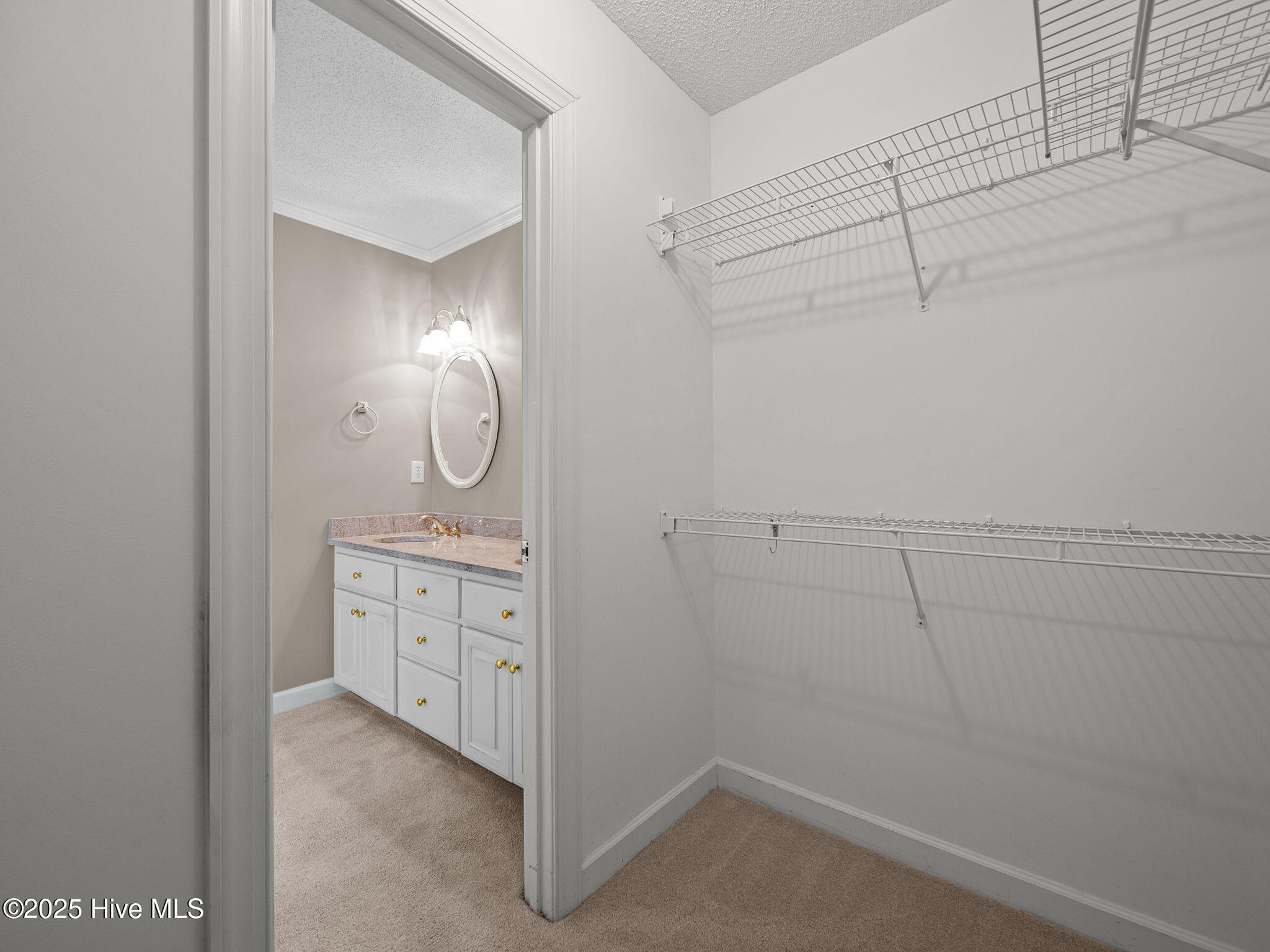 100534151 | Photo 28