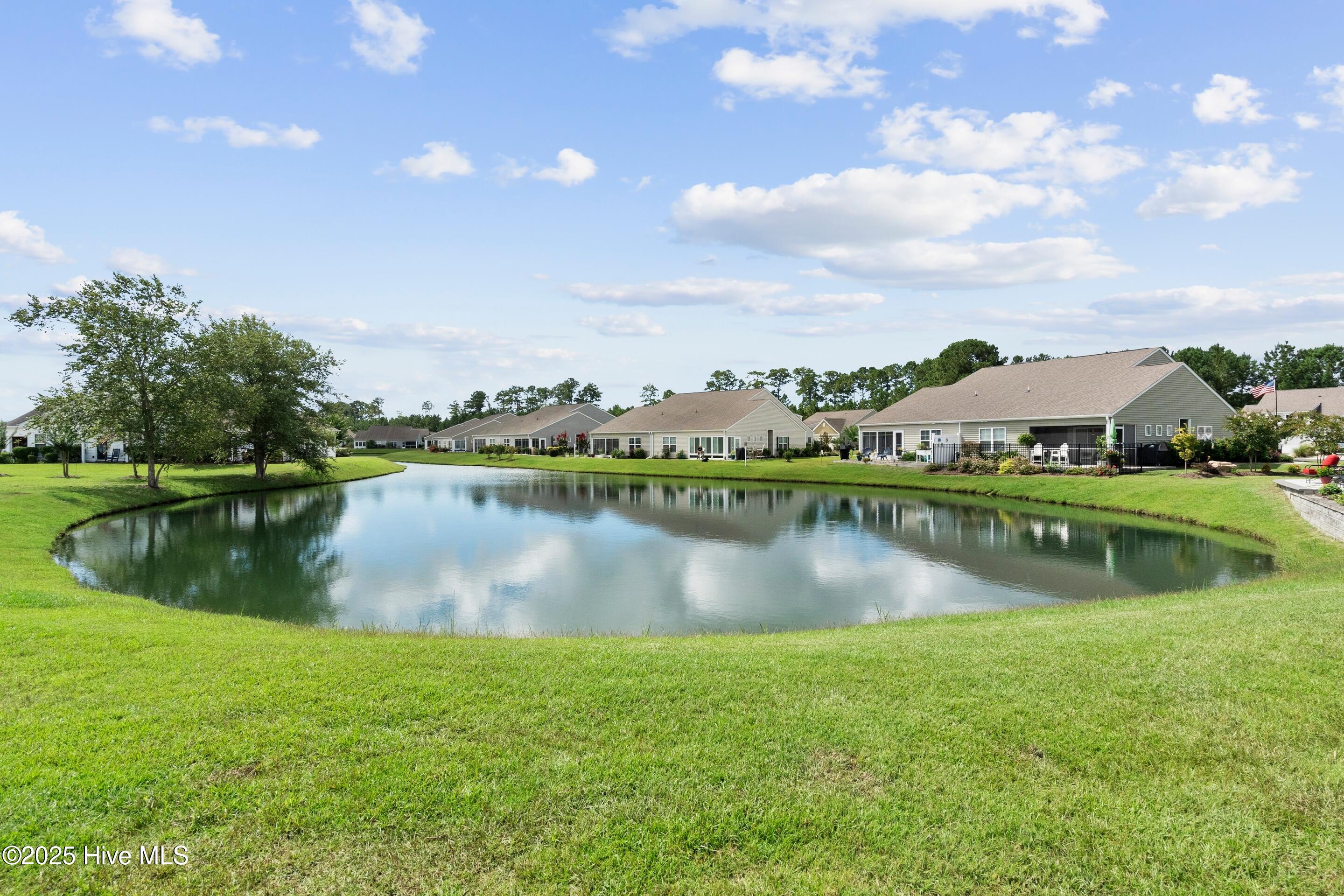 100525343 | Photo 31