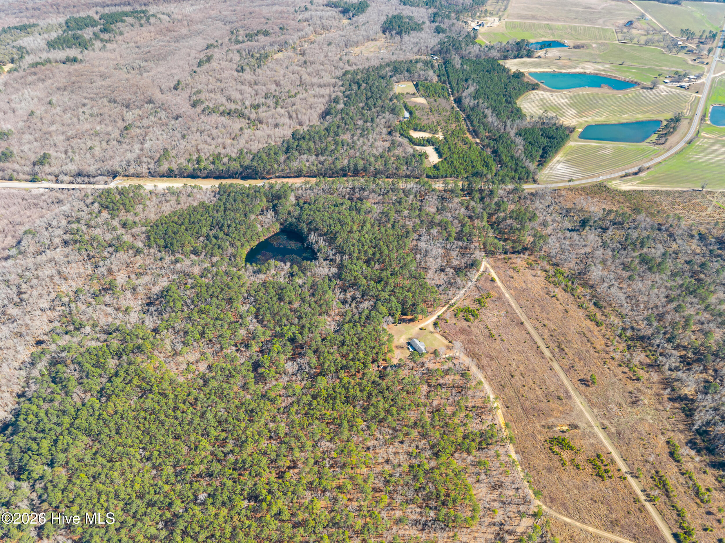 Photo 3 of Land for sale at 22701 Highway 129, Cobbtown, GA 30420 | MLS# 100603679 | Listing updated on 2026-09-15