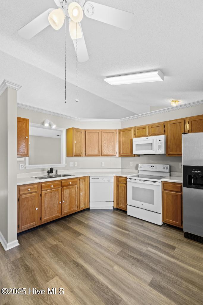 100546857 | Photo 15