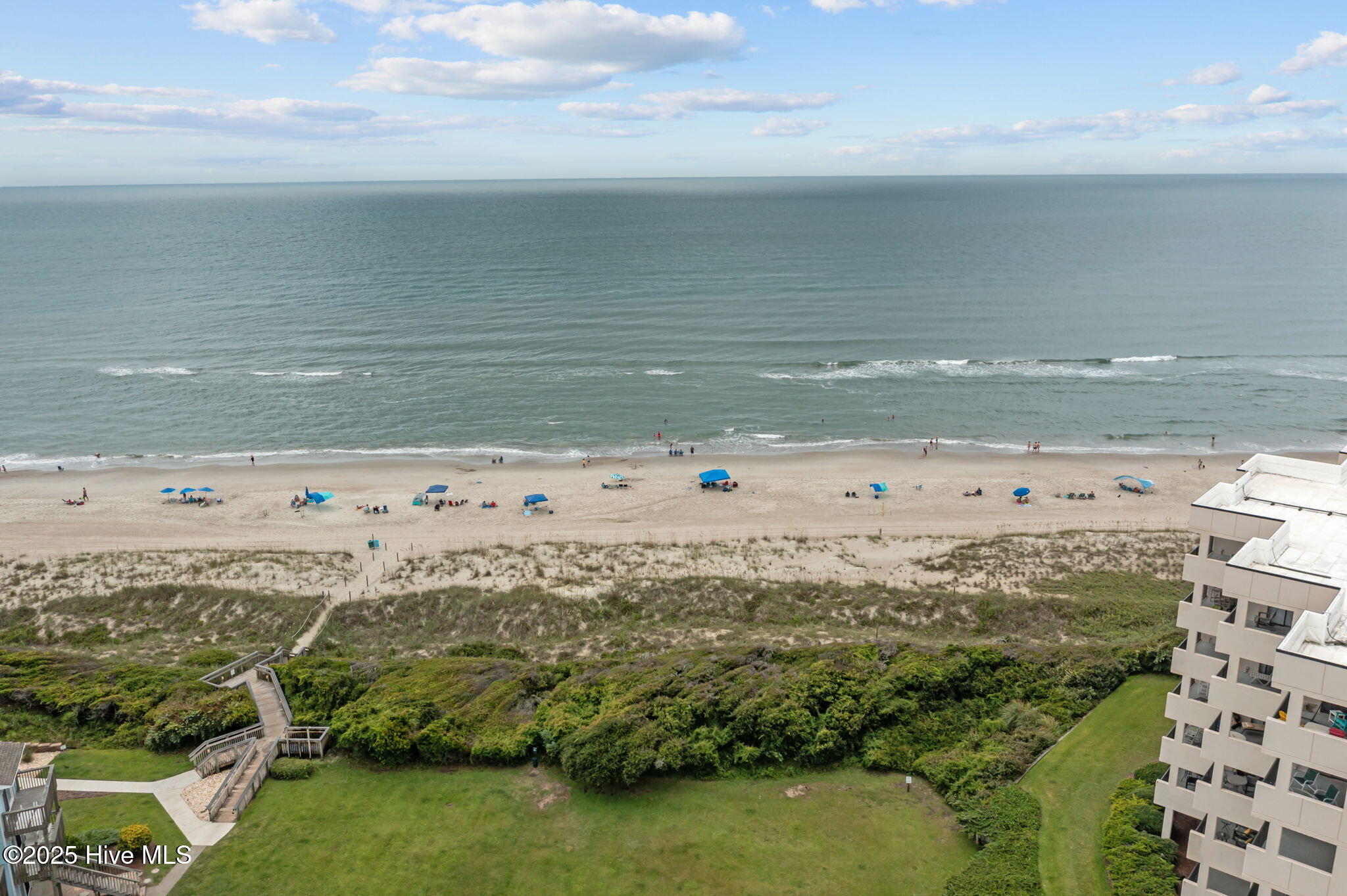 100520425 | Photo 55