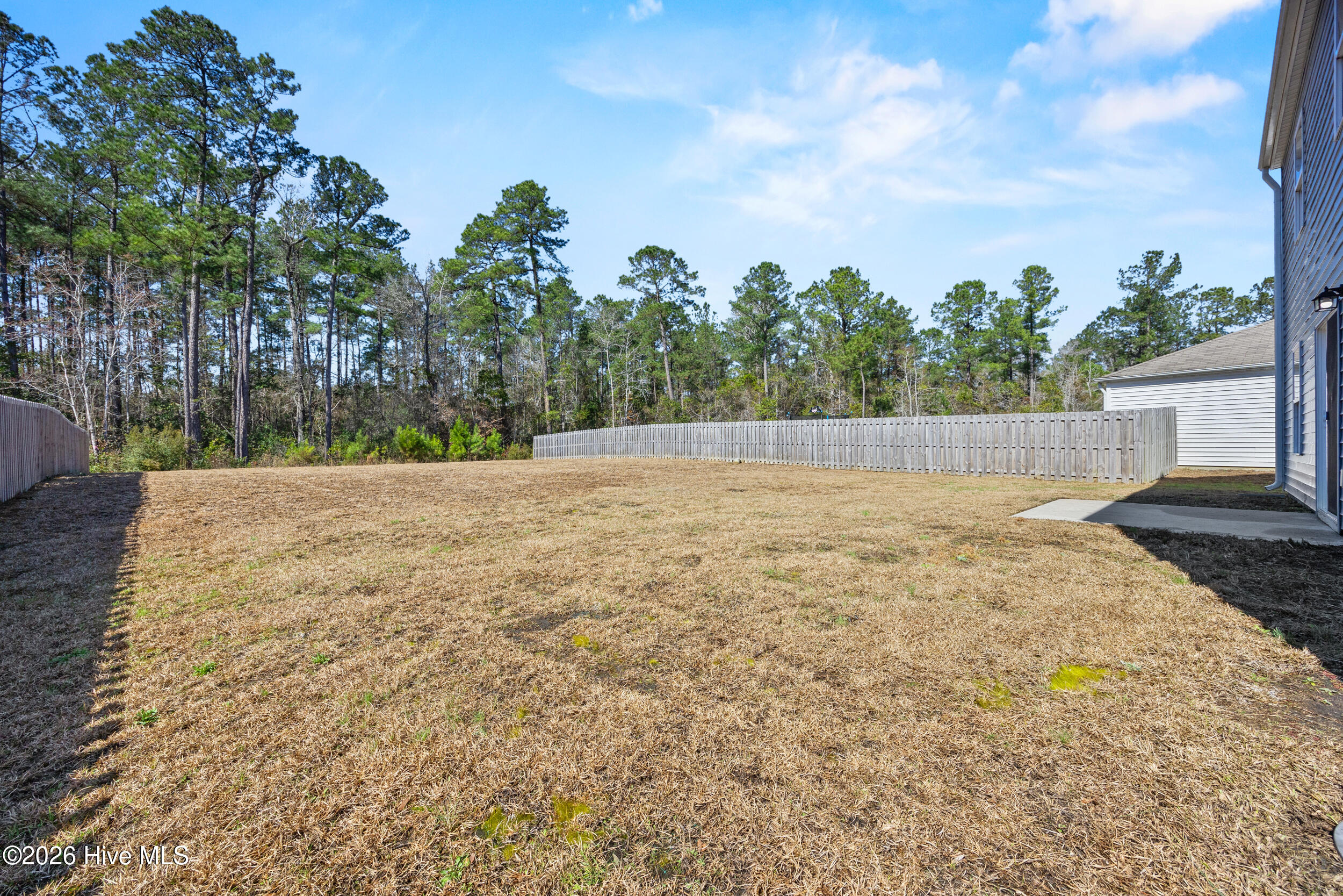 100556435 | Photo 45