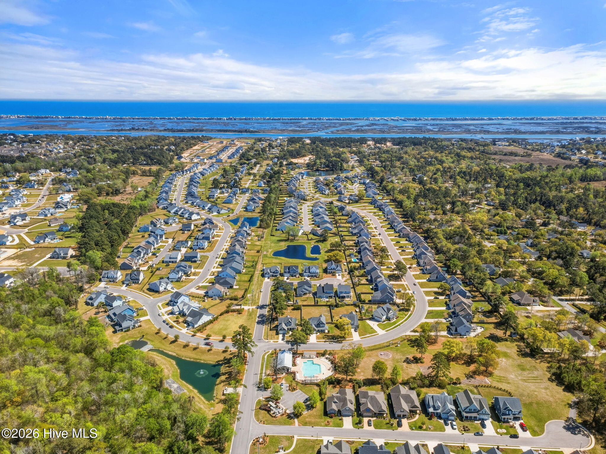 100565702 | Photo 46