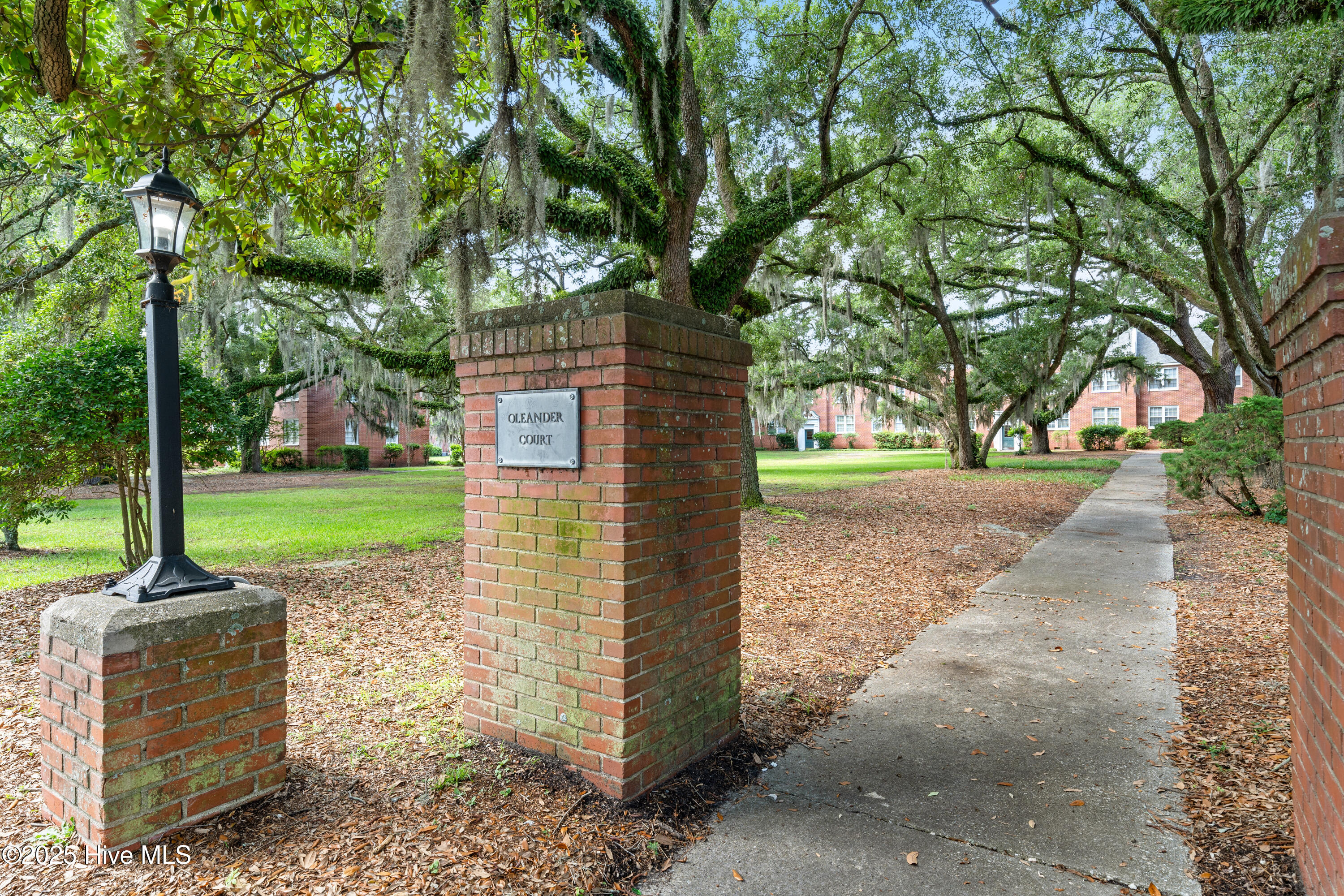 100539316 | Photo 31