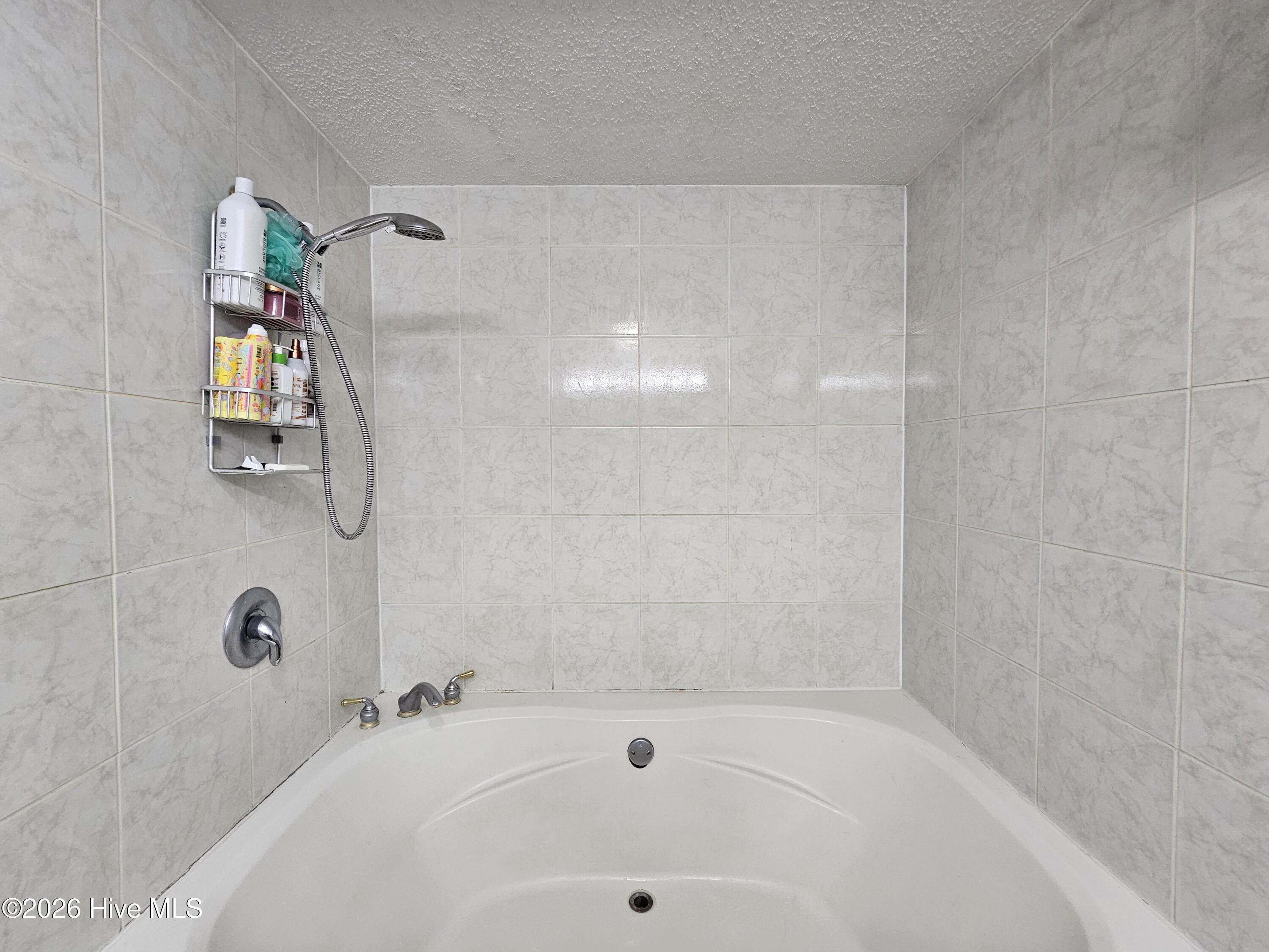 100561319 | Photo 32