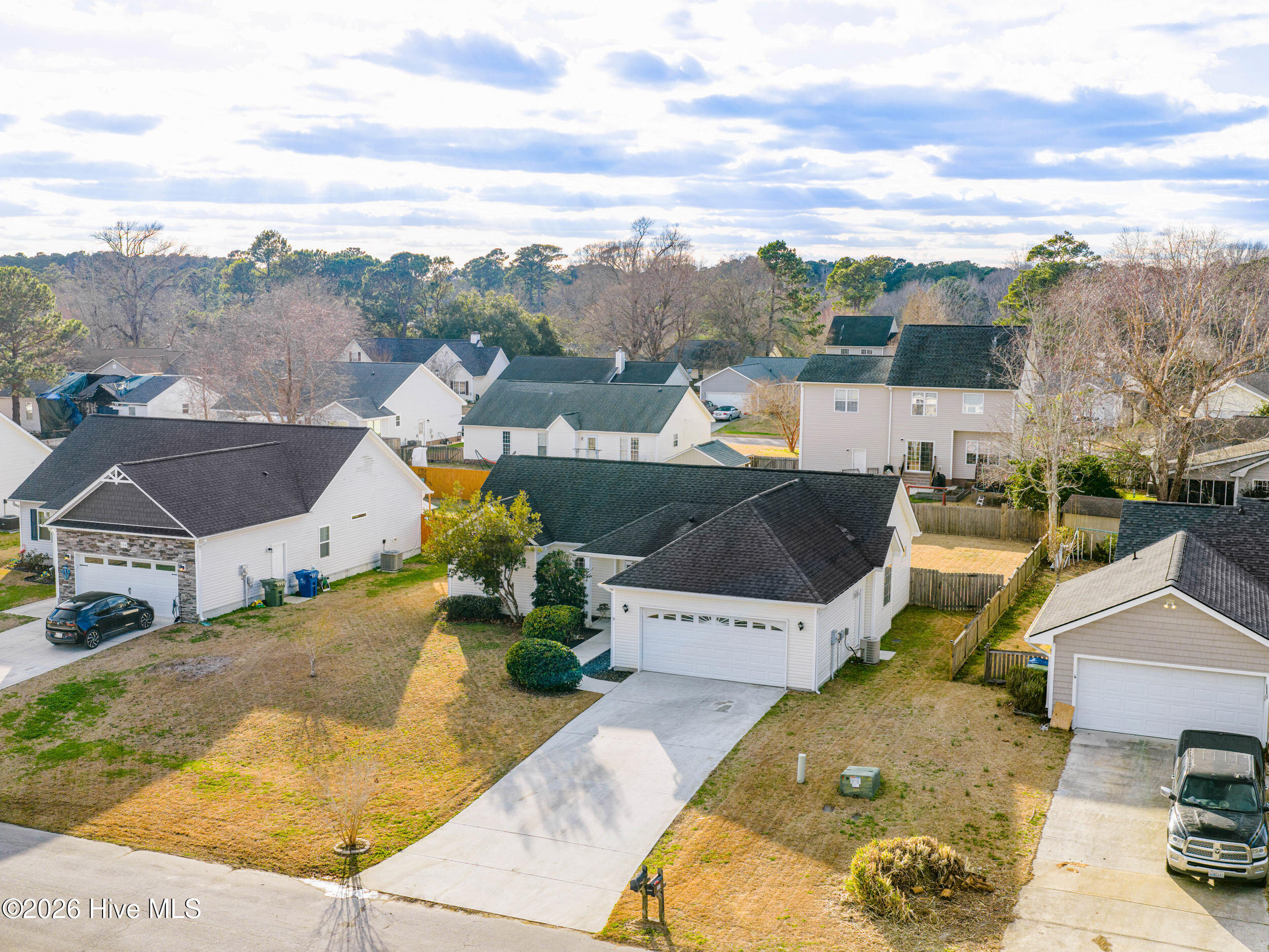 100561175 | Photo 23