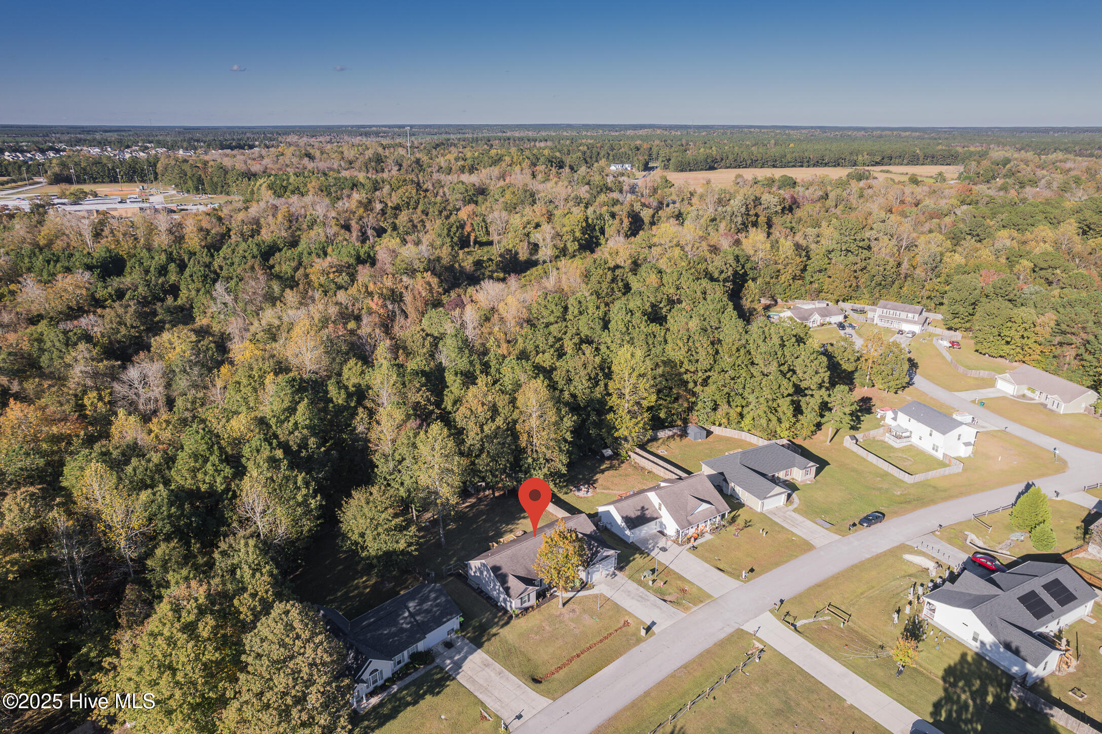 100538539 | Photo 44