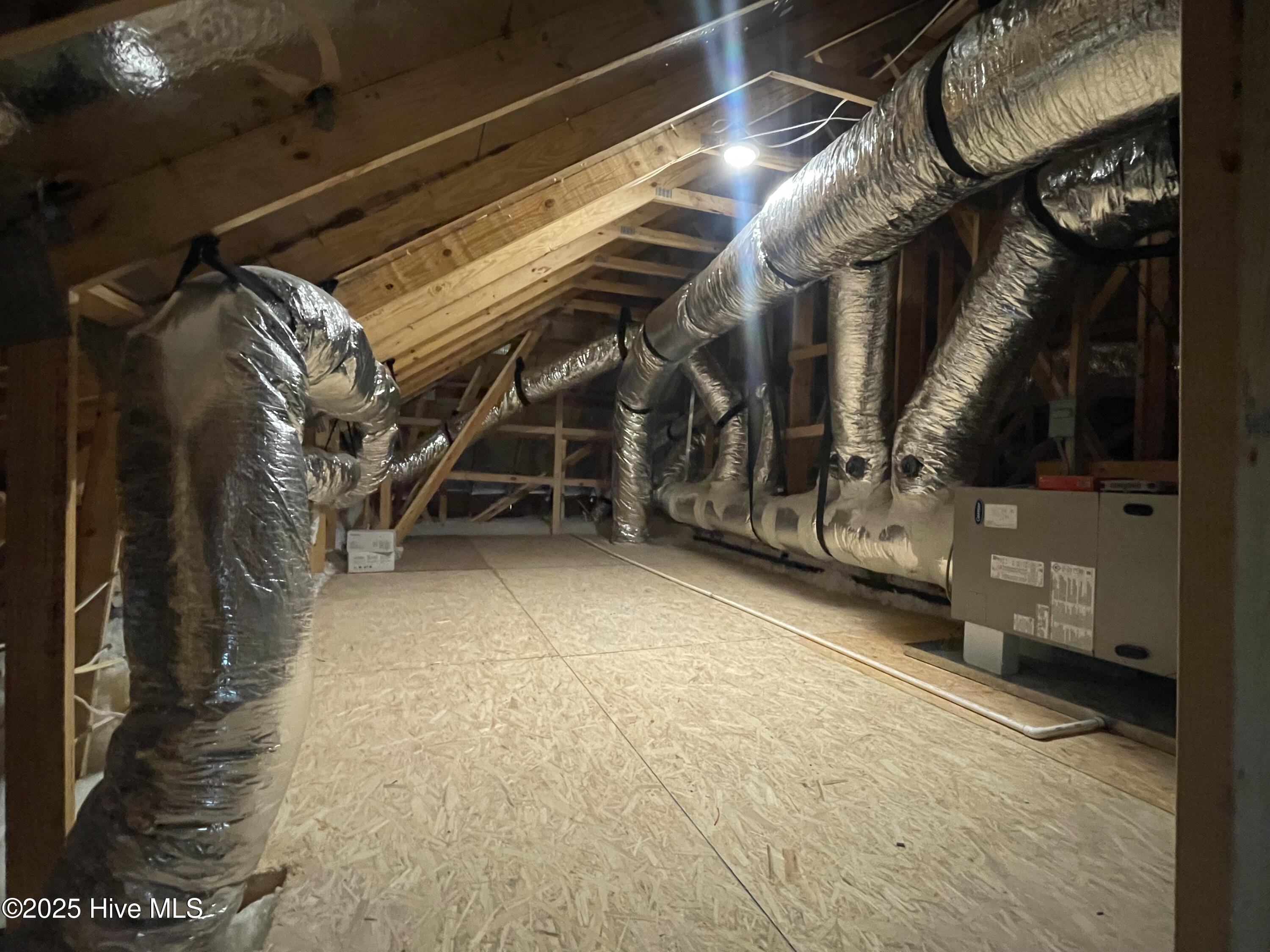 100530359 | Photo 20