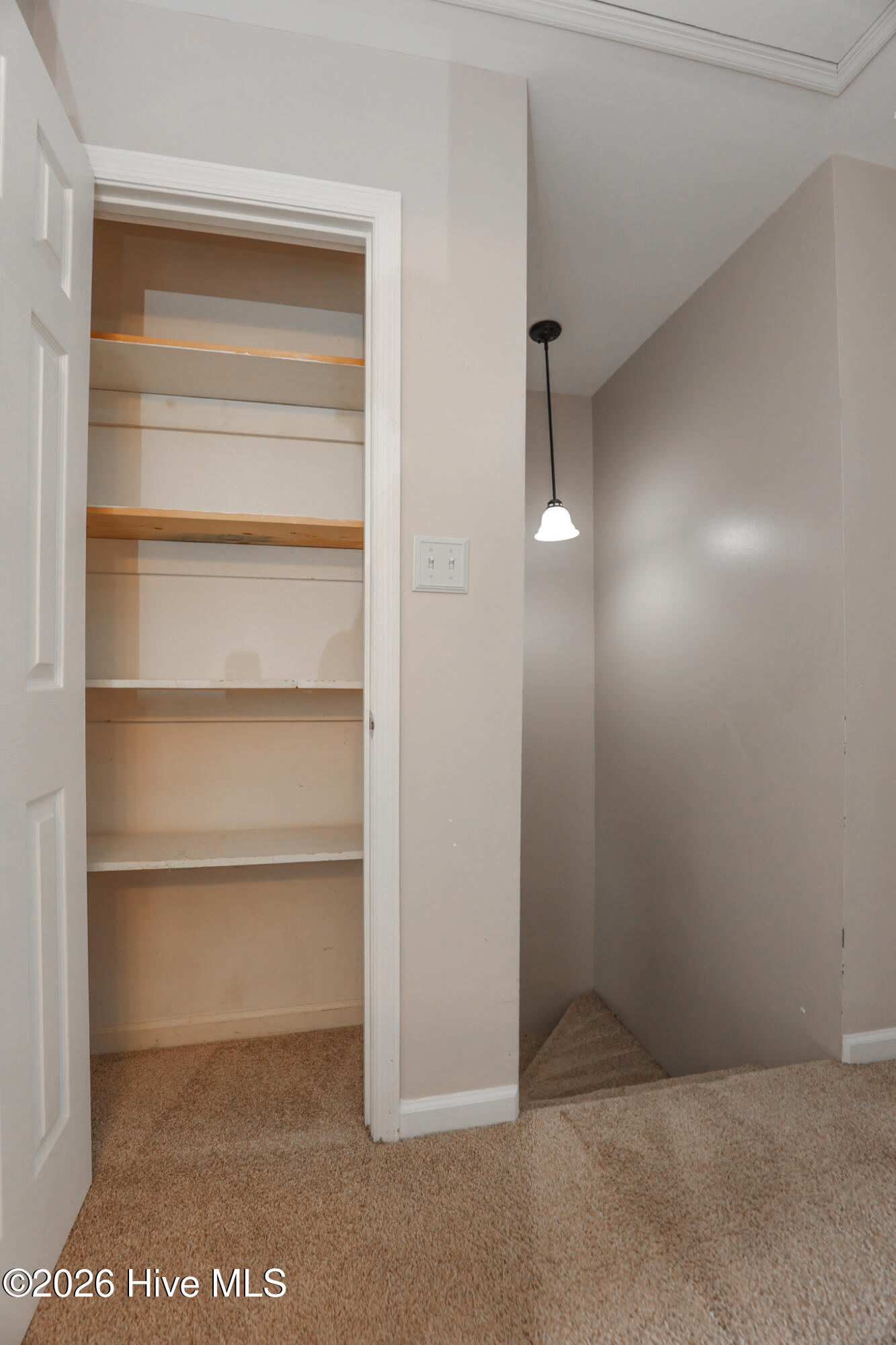 100559249 | Photo 16