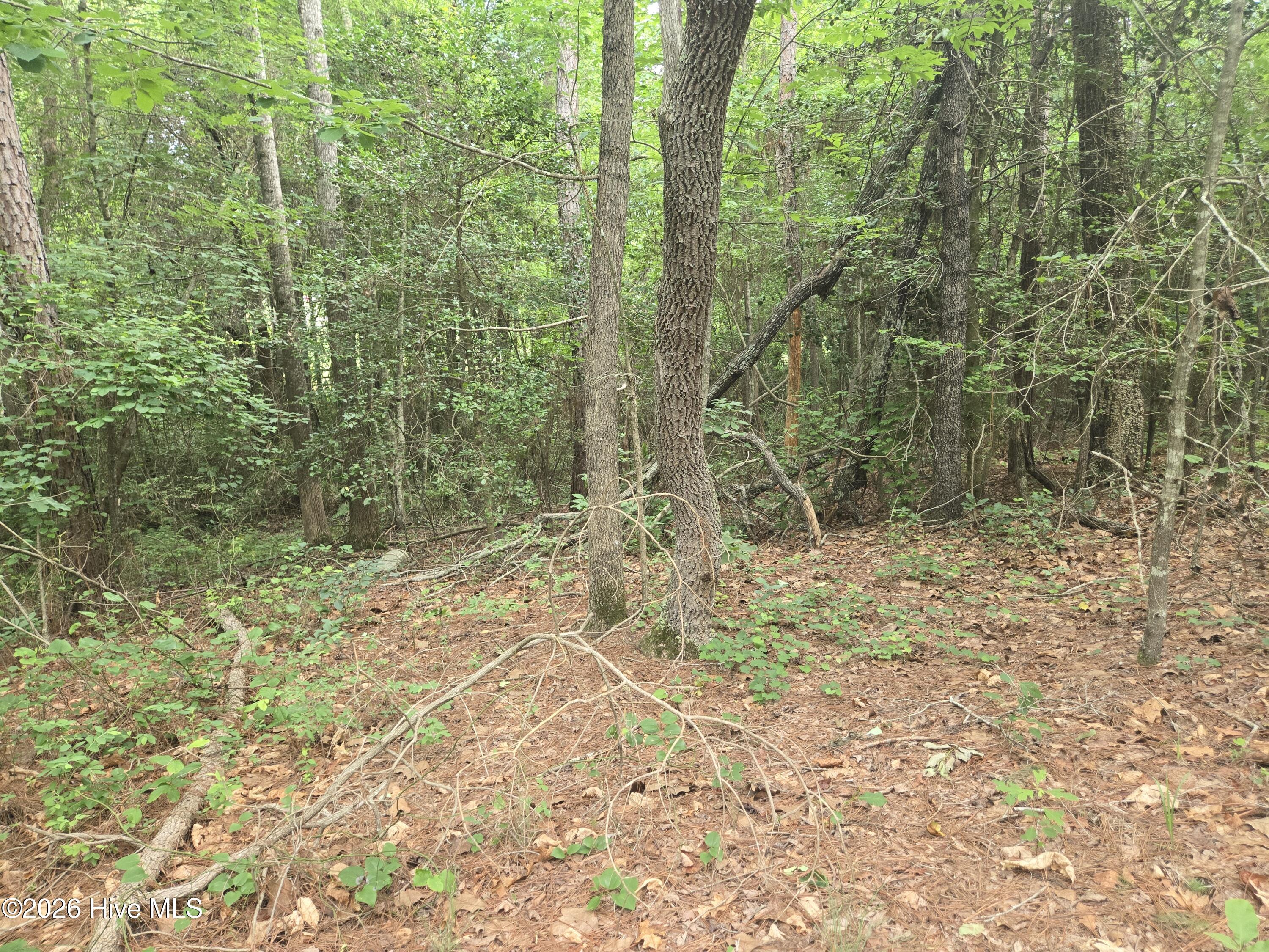 Tract 14 Belford Church Road, Jackson Springs, NC 27281 Listing Photo  24