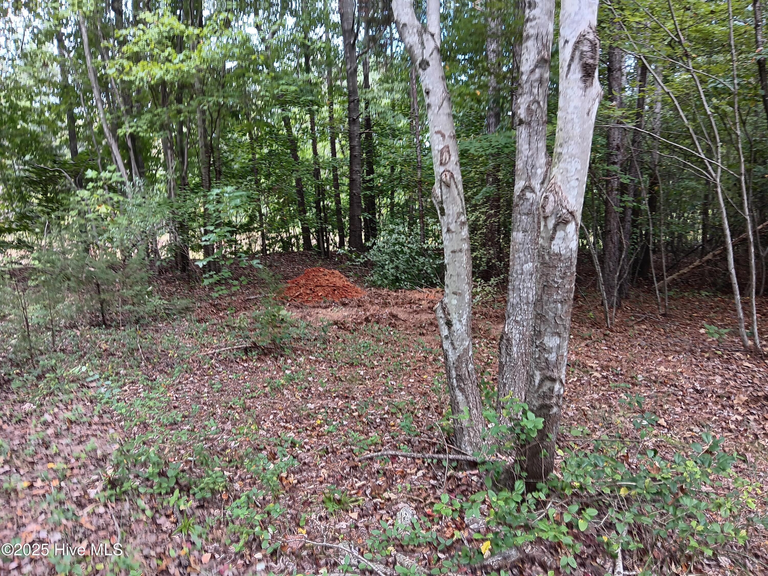 Towards Top of Putnam Church Road