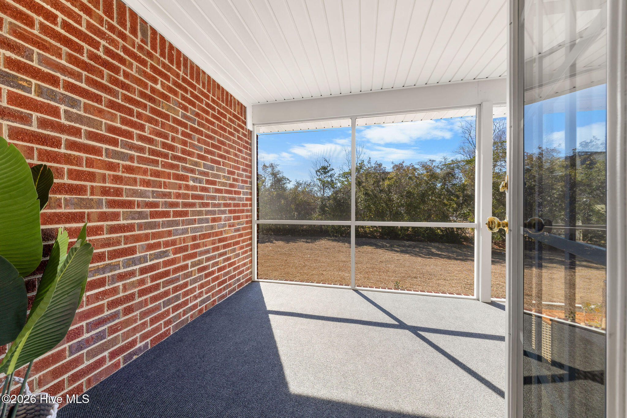 100554180 | Photo 26