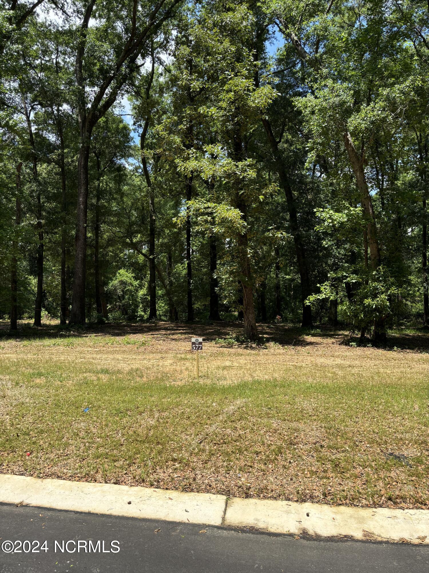 3714 White Cliffs Drive, Castle Hayne, NC, 28429