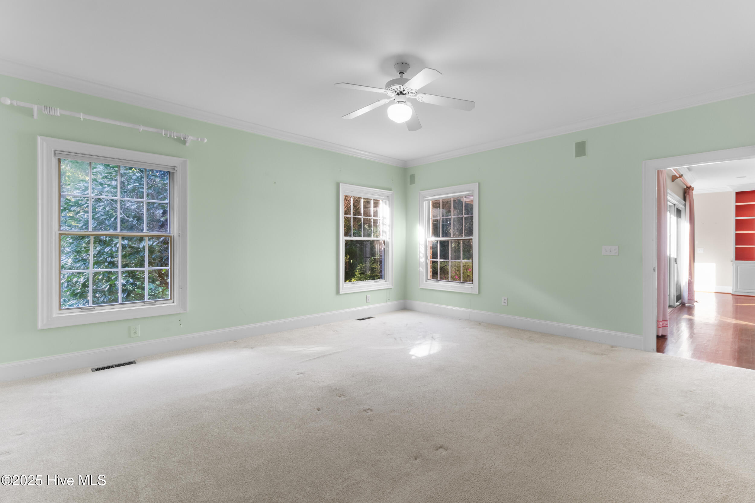 100516126 | Photo 23