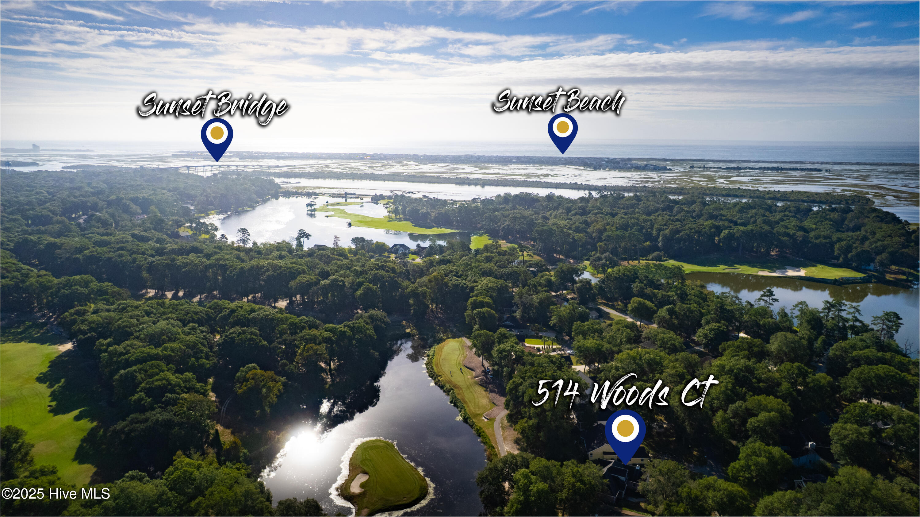 100535569 | Photo 42