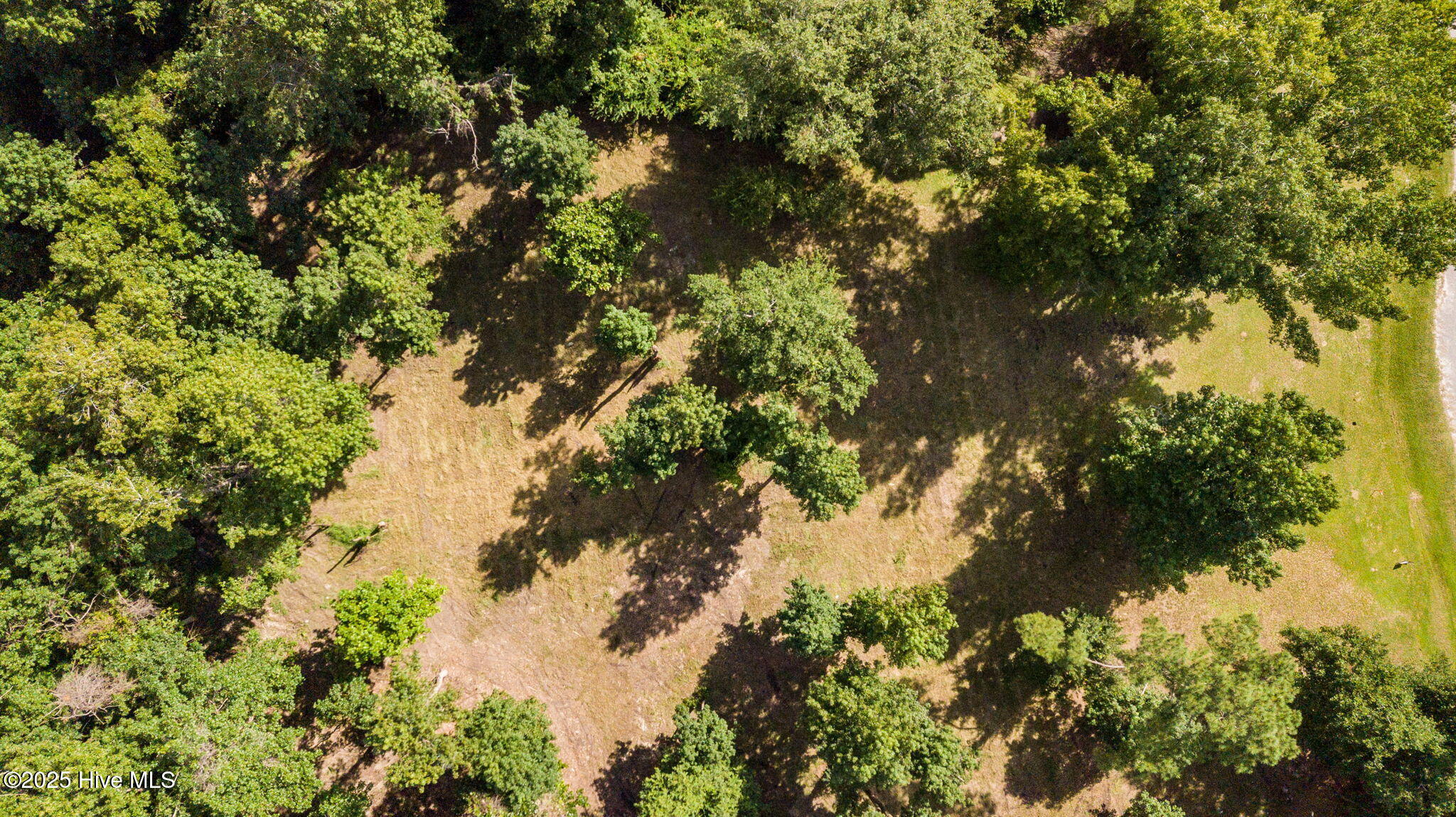 100524642 | Photo 18