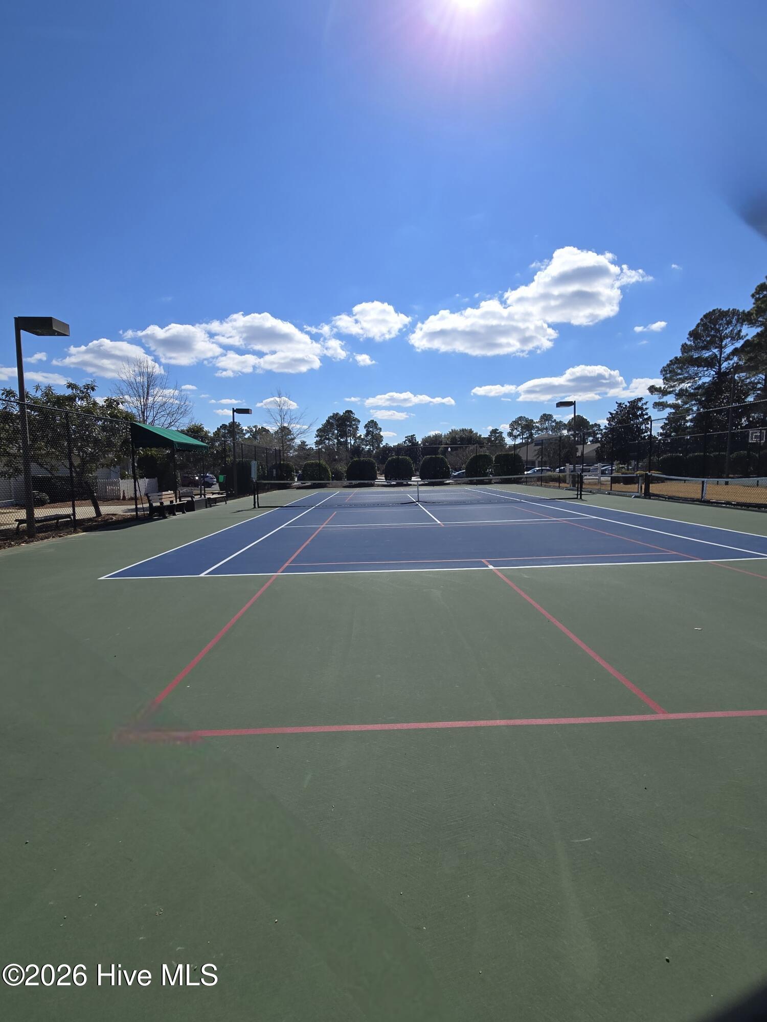 100526978 | Photo 34