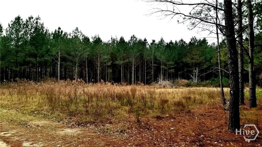 Property at 133 John Godley Lane