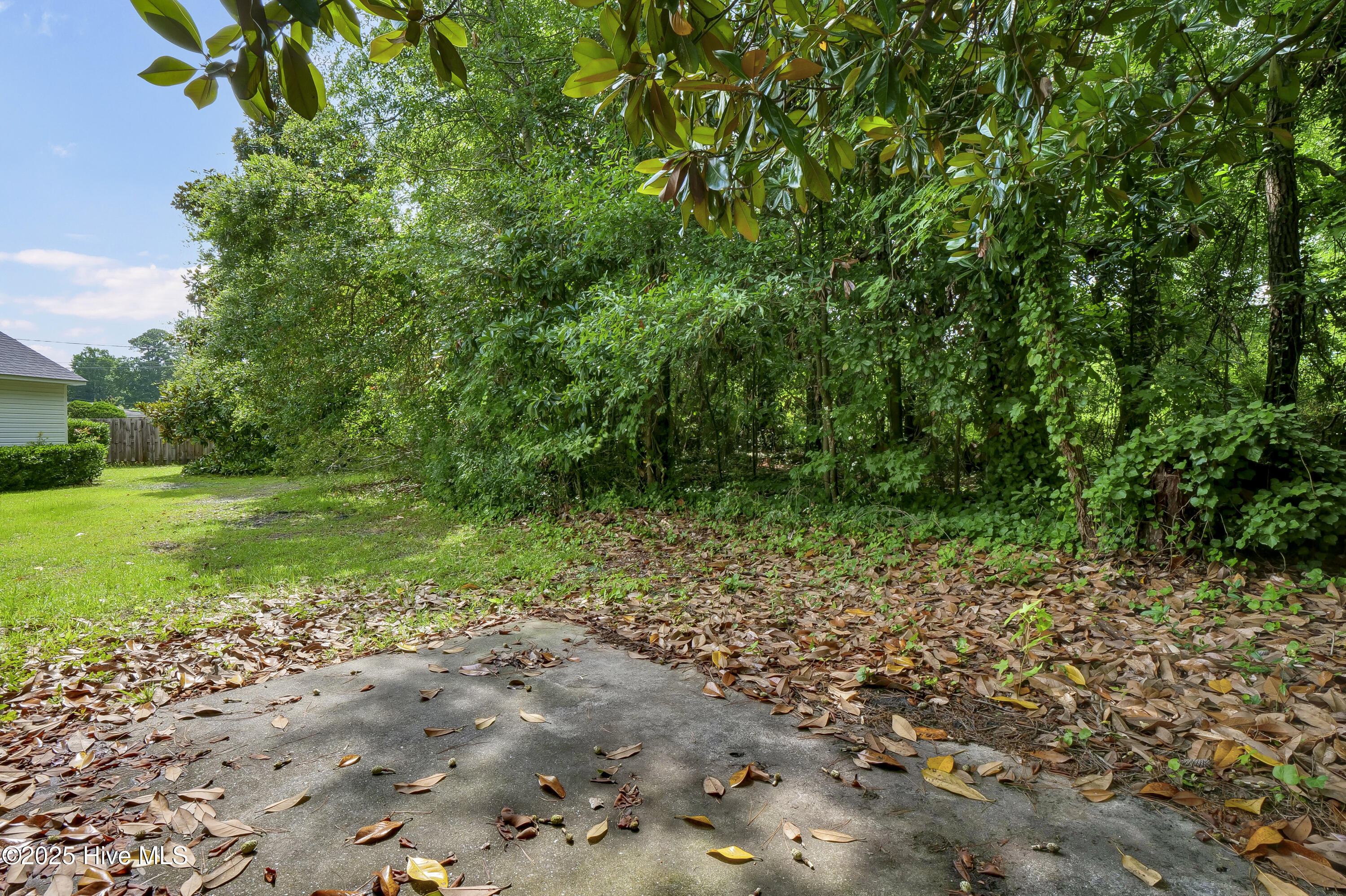 100517859 | Photo 27