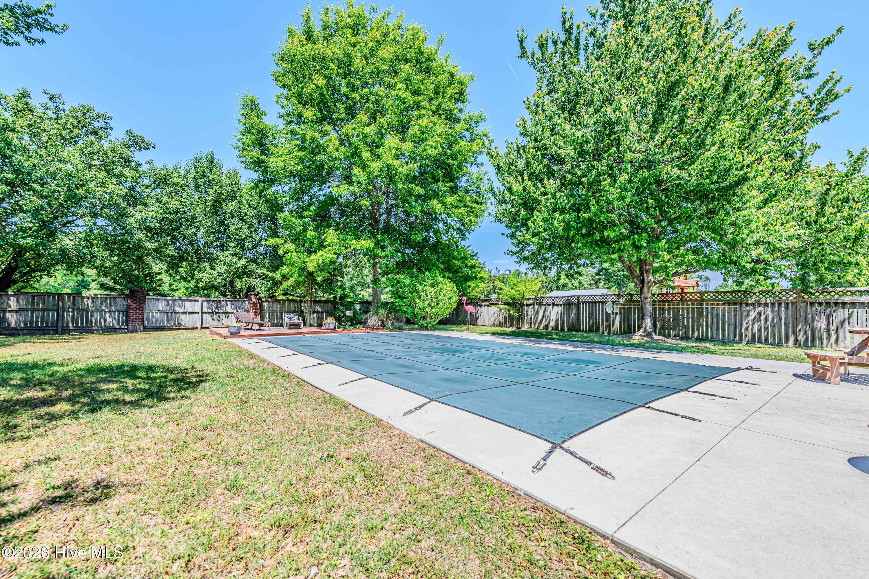 100569182 | Photo 55