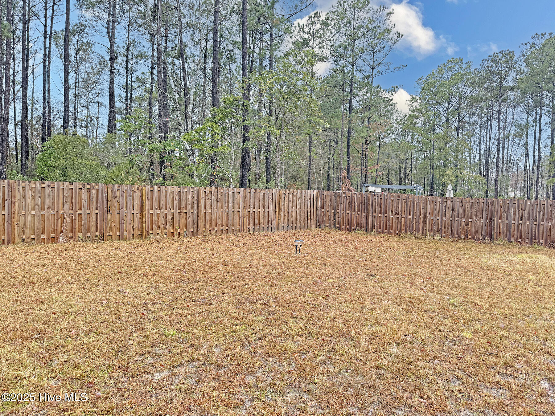 100544374 | Photo 39