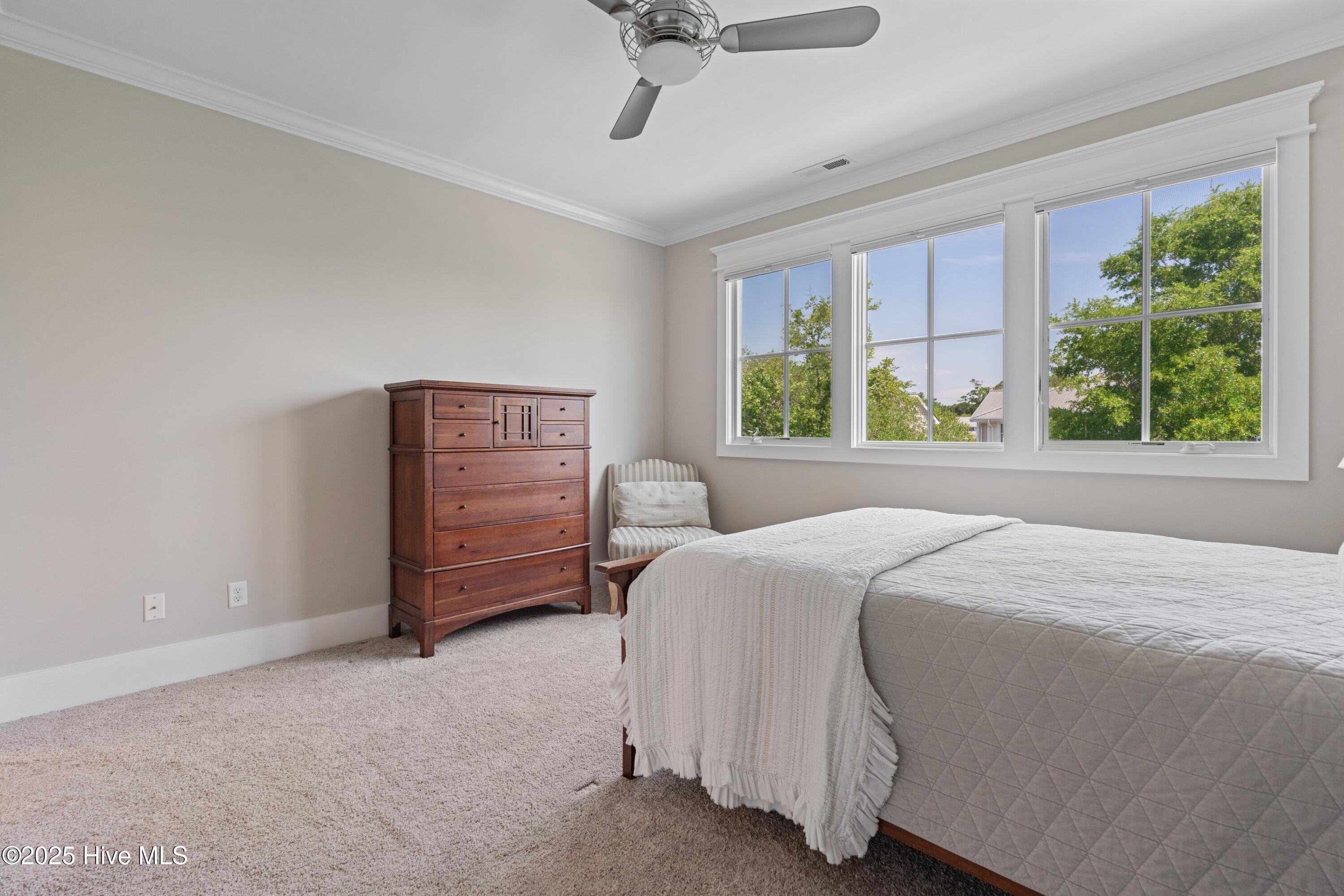 100507237 | Photo 11