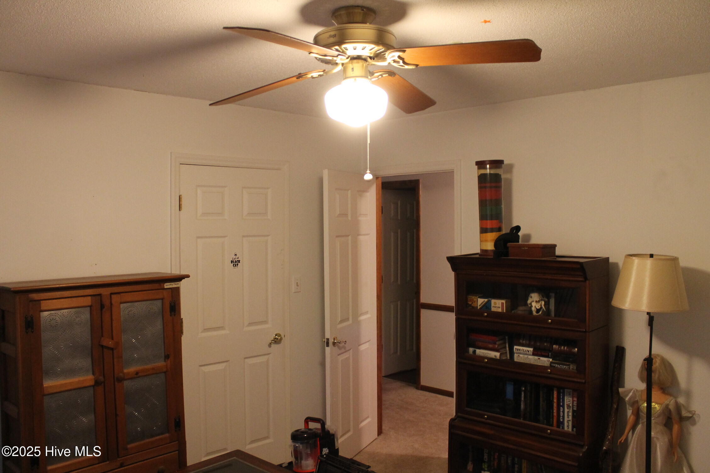 100530982 | Photo 11