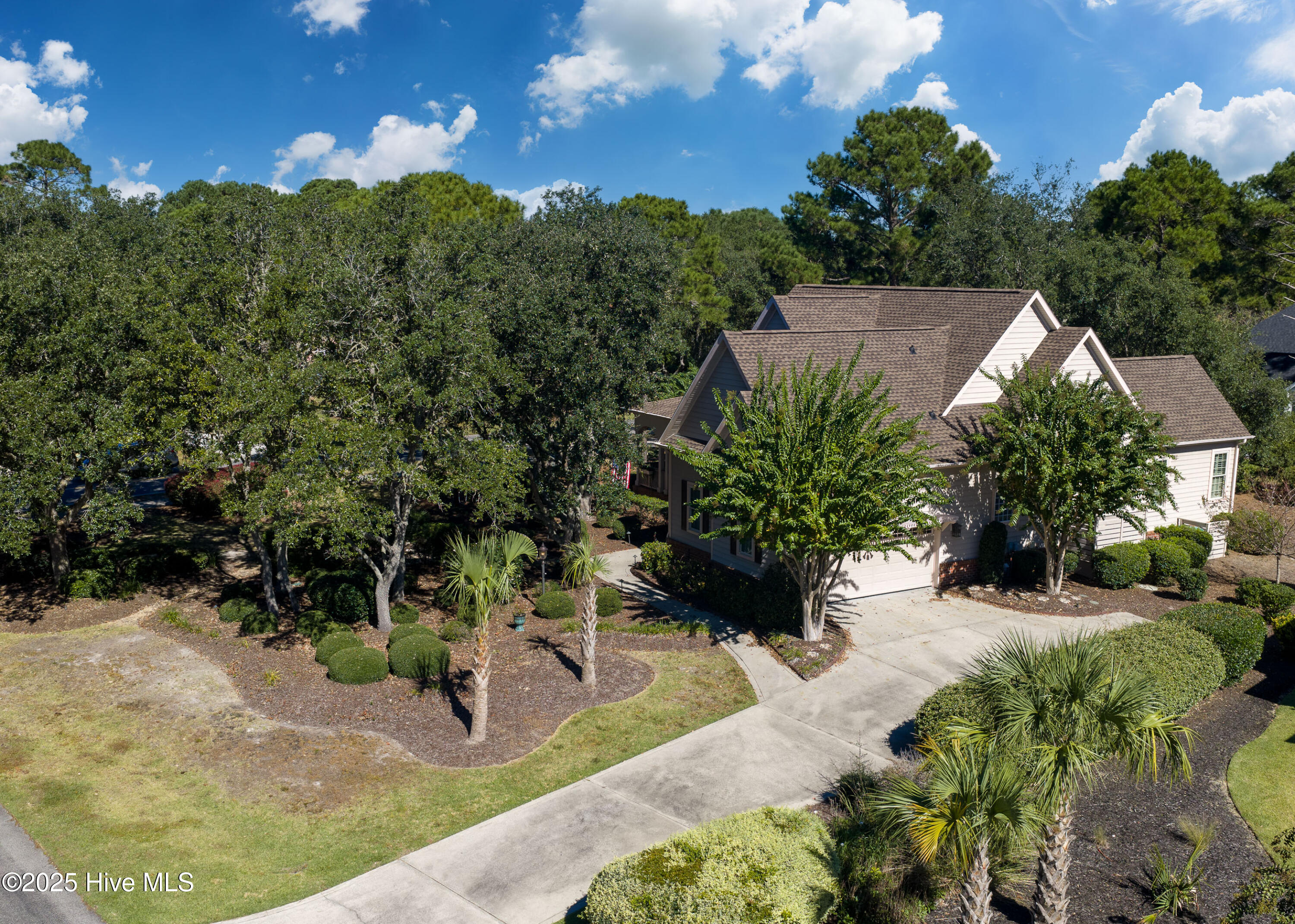 100535397 | Photo 56