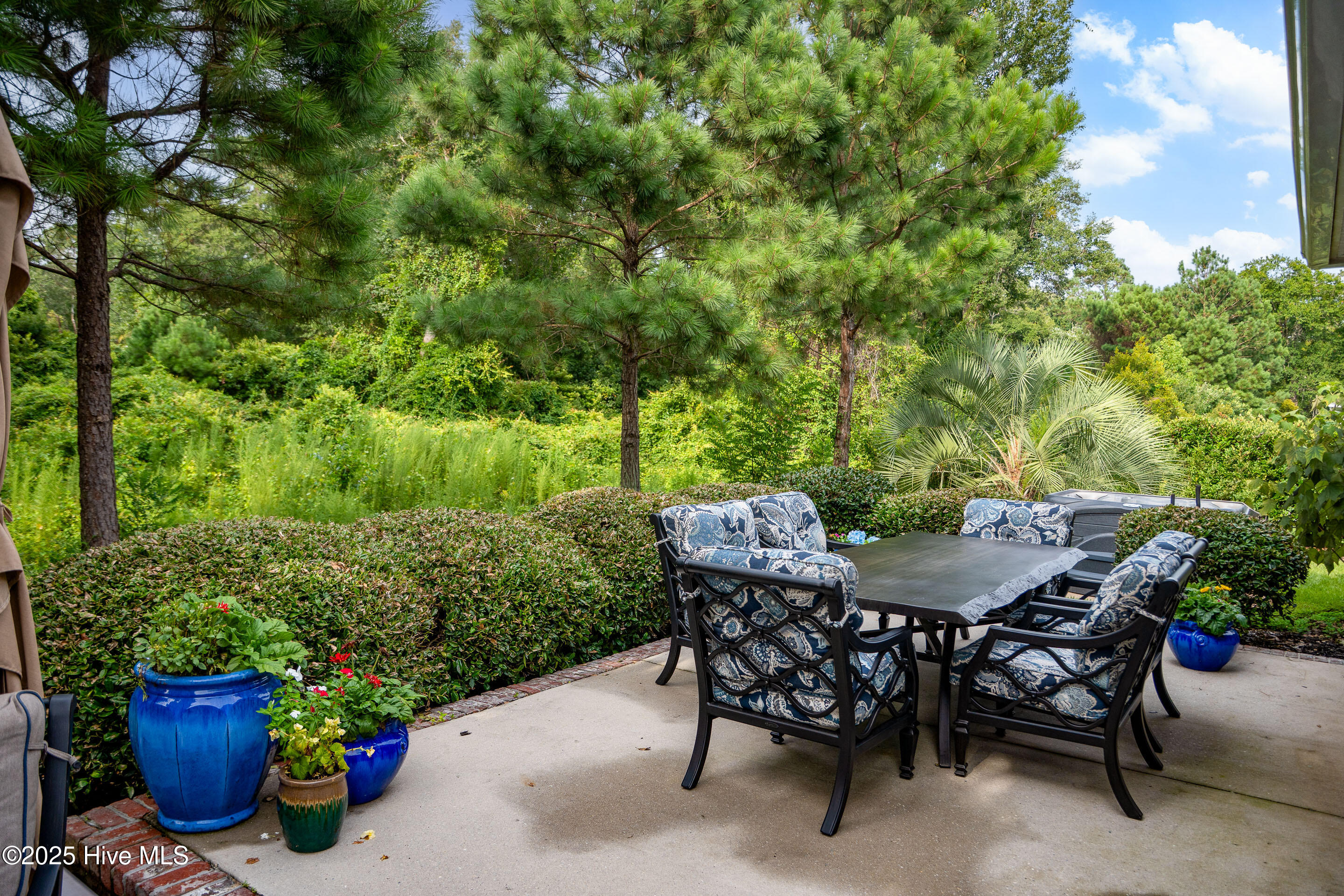 100526851 | Photo 43