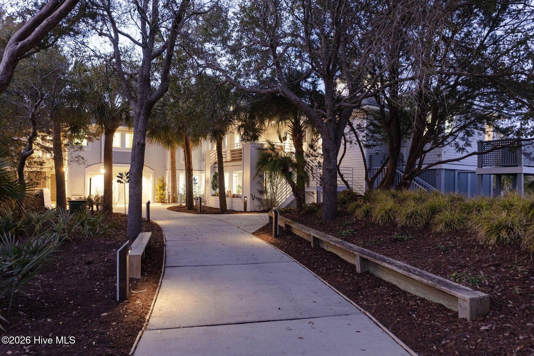 100558974 | Photo 71