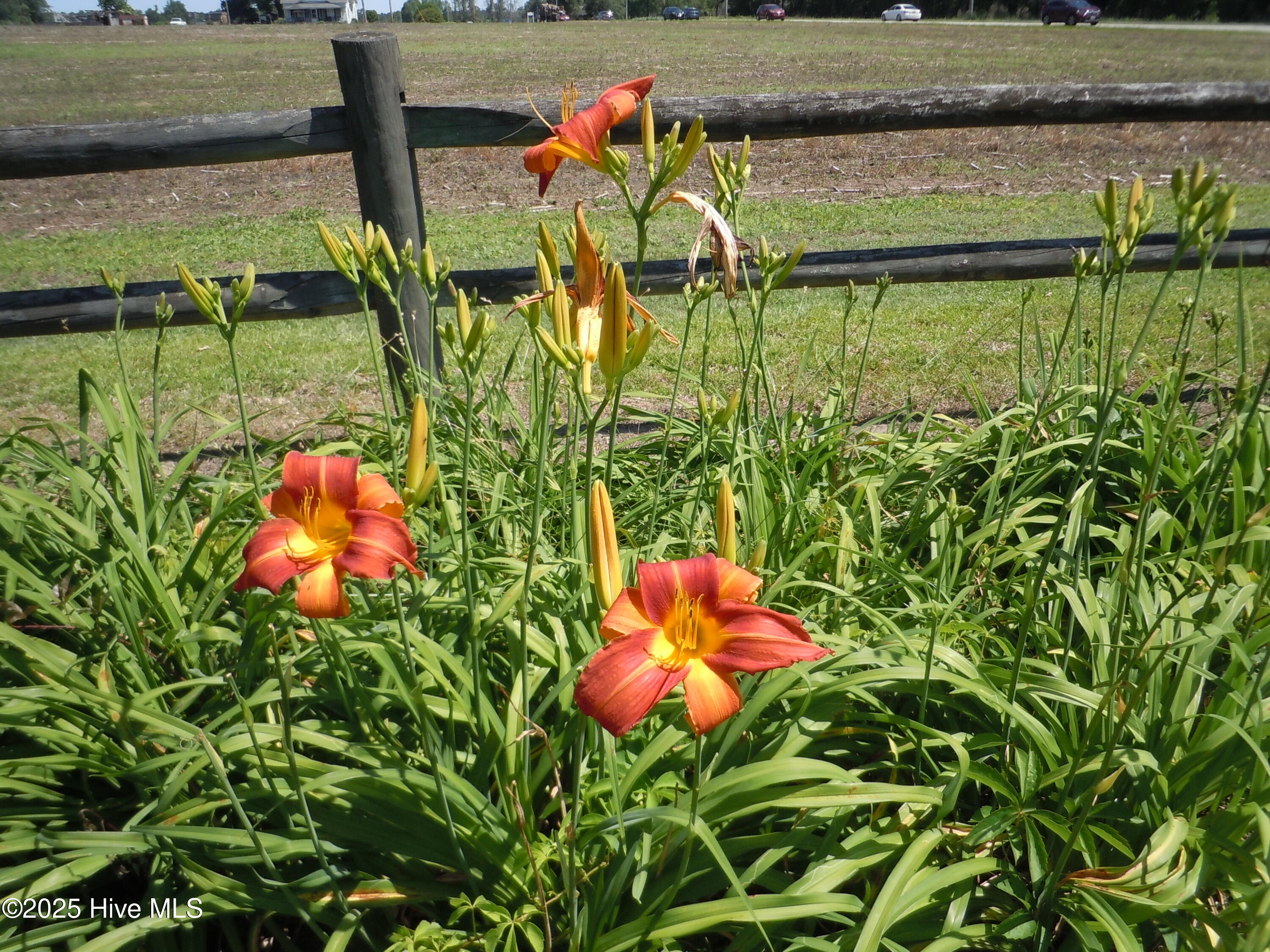 100533053 | Photo 86