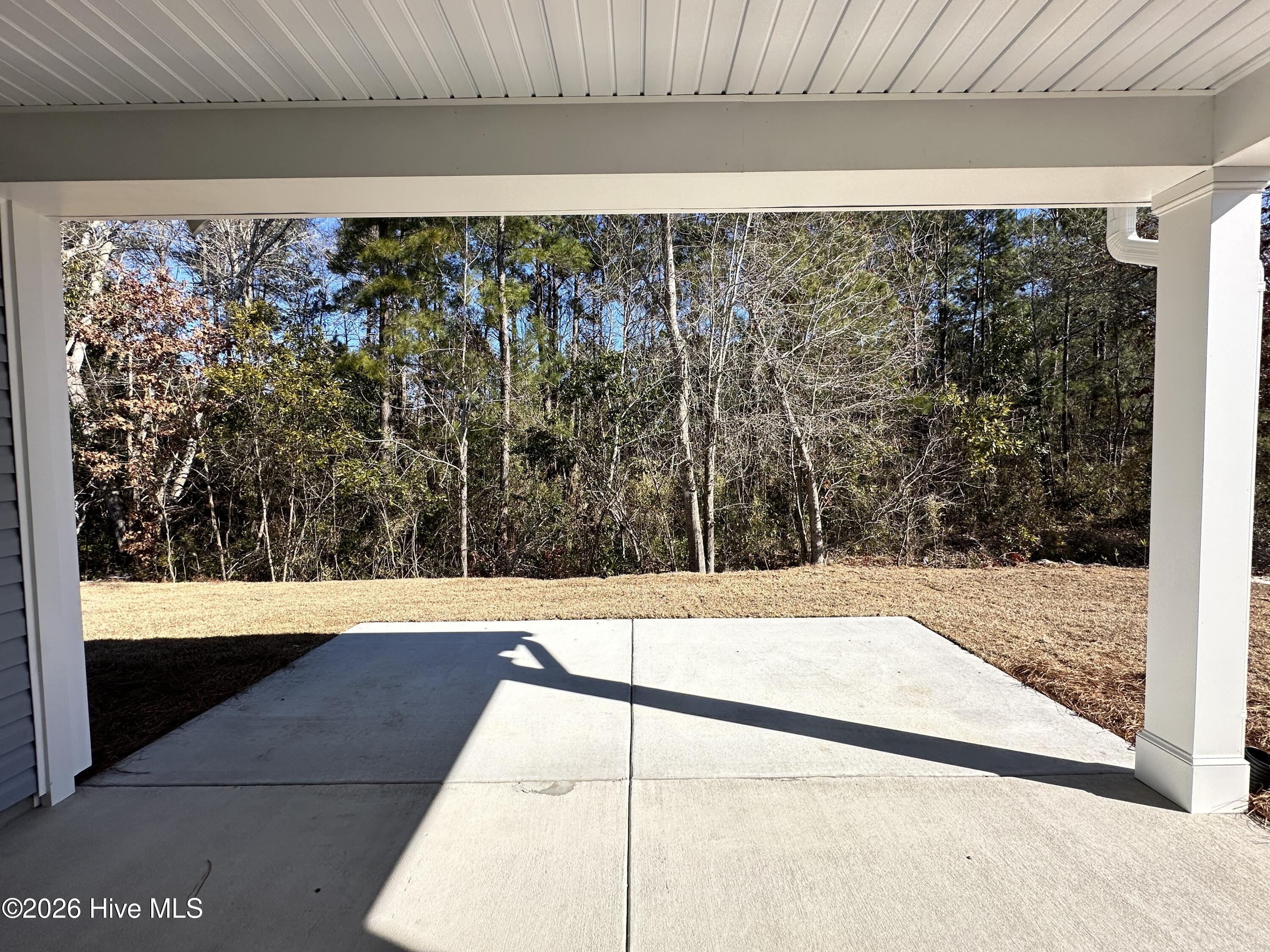 100537136 | Photo 12