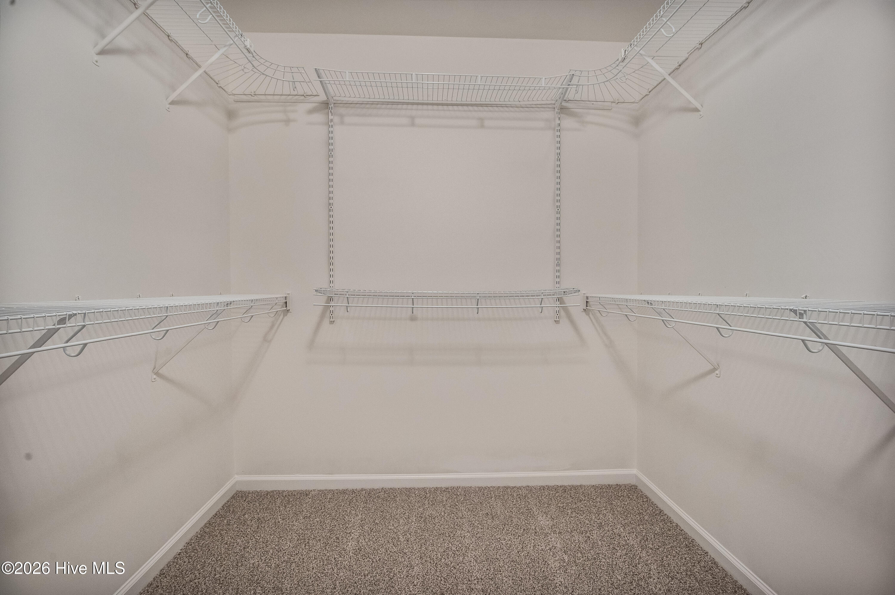 100545678 | Photo 33