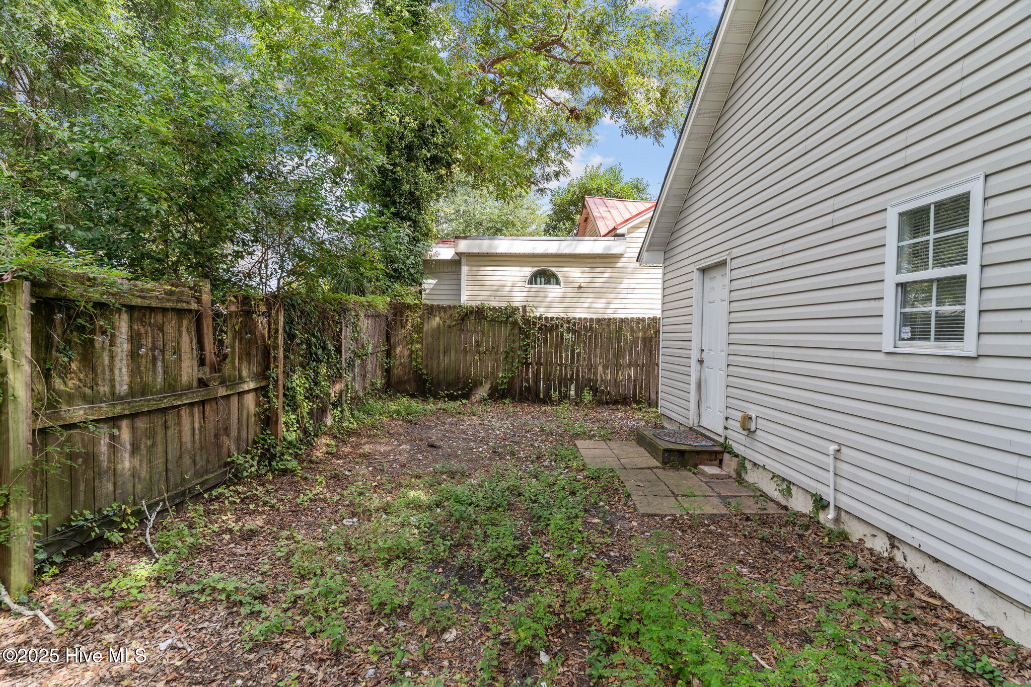 100534233 | Photo 34