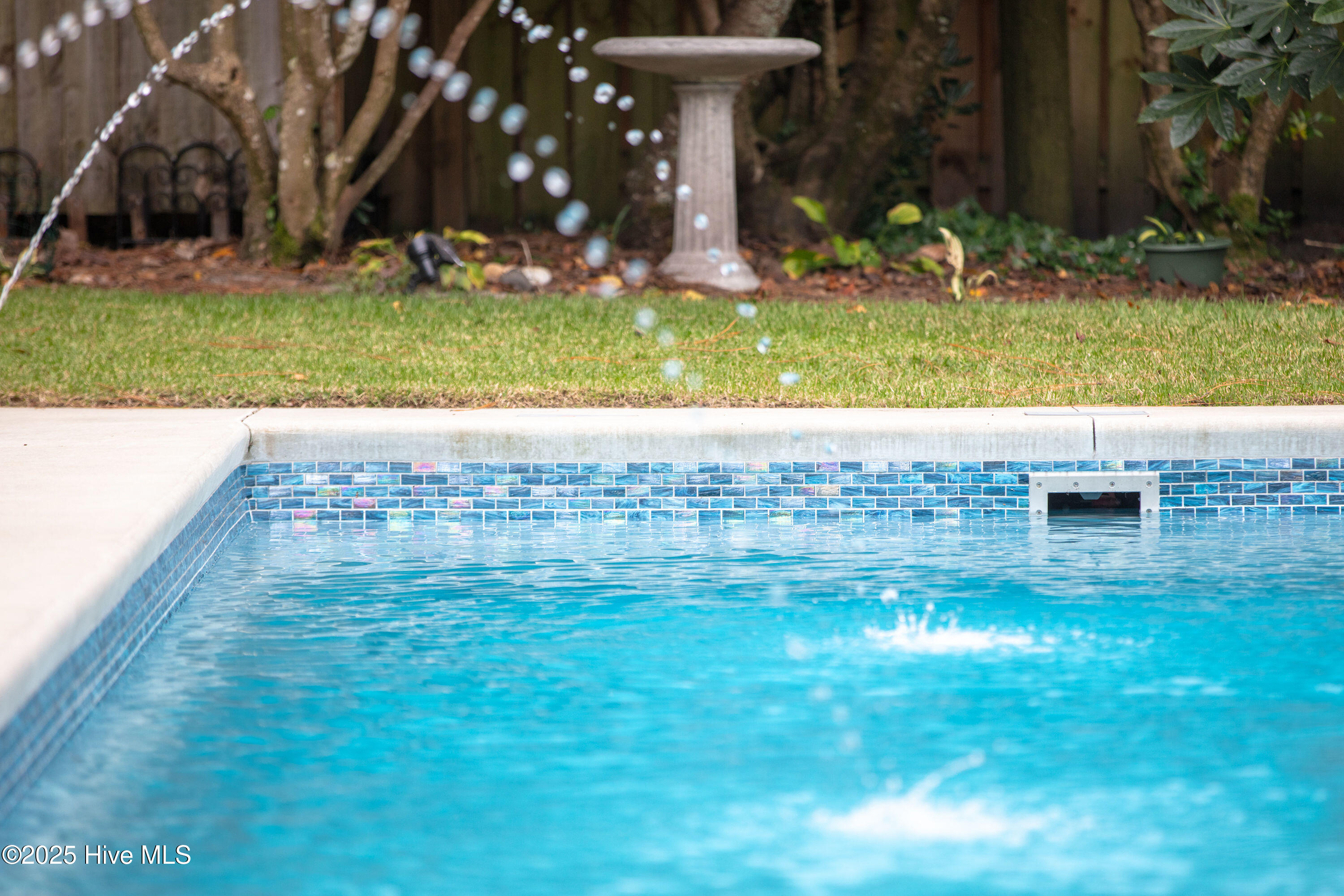 100541025 | Photo 11