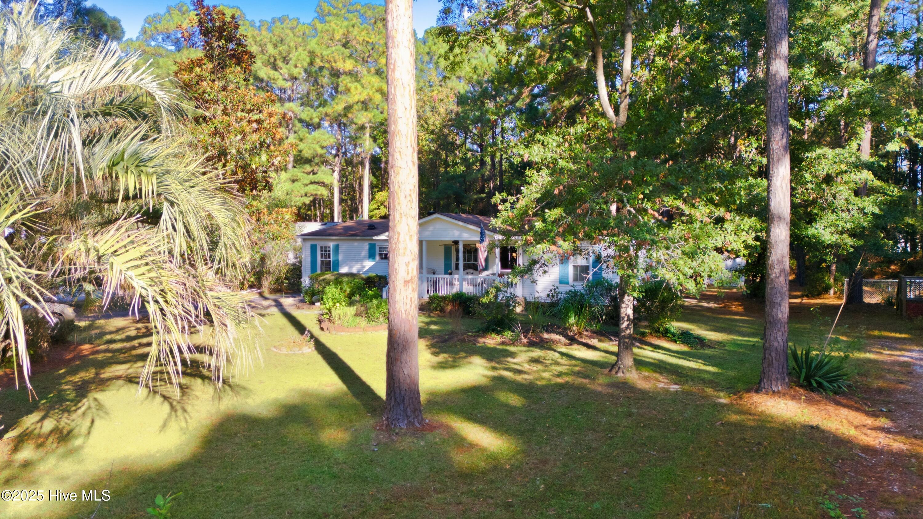 100538513 | Photo 22