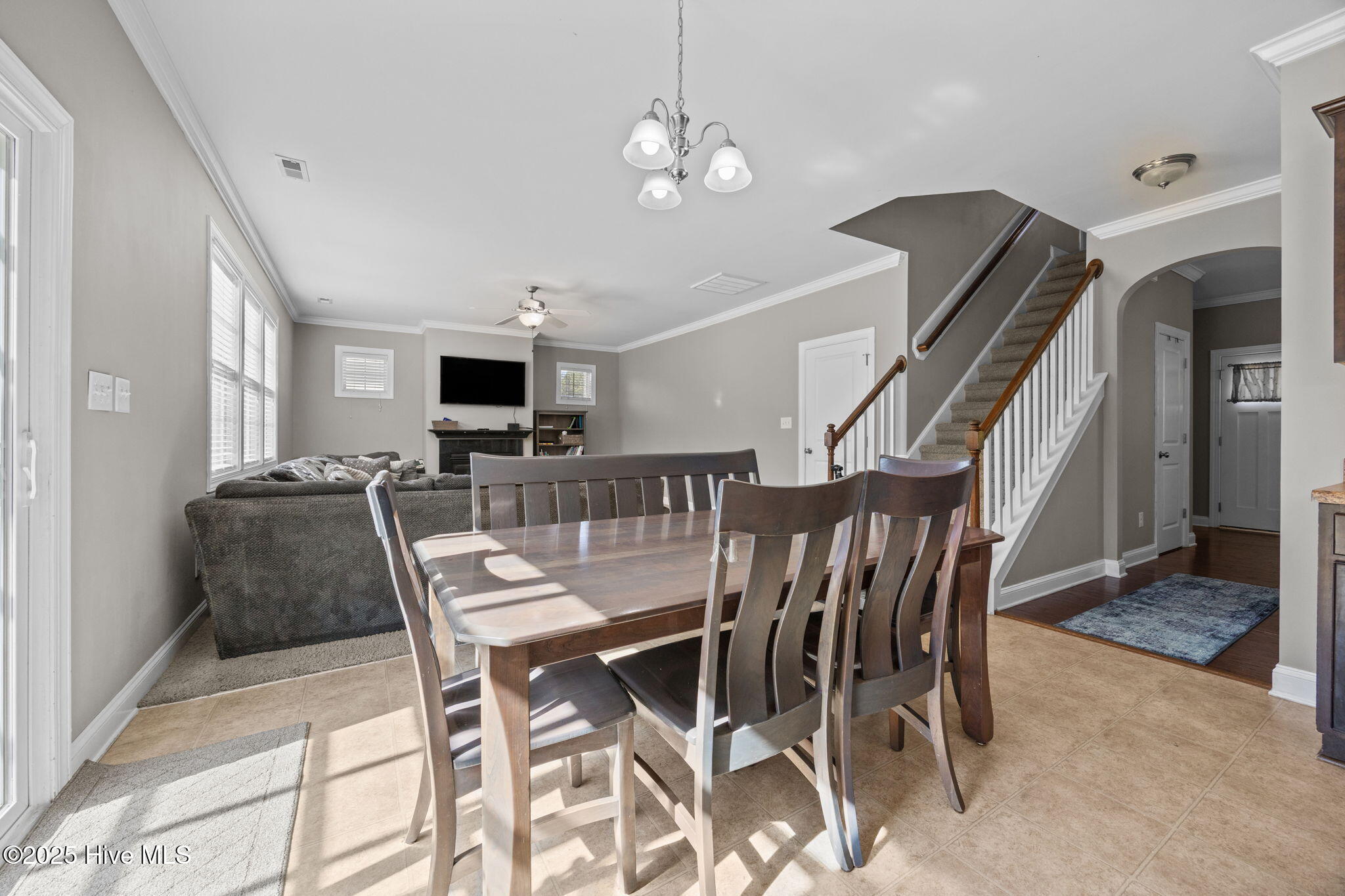 100533509 | Photo 11