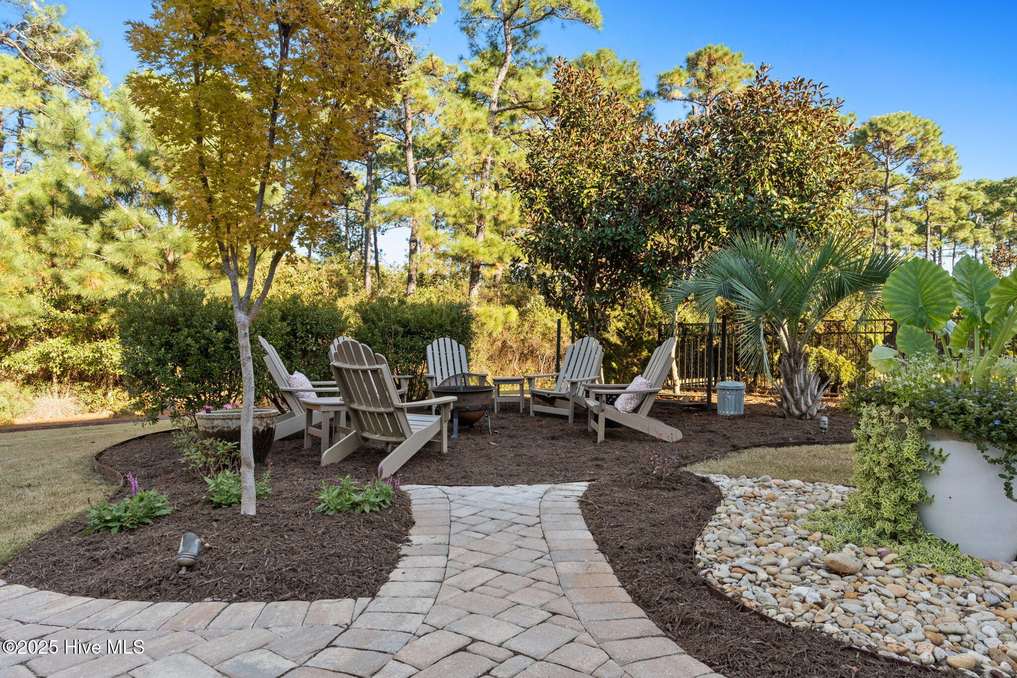 100539203 | Photo 44