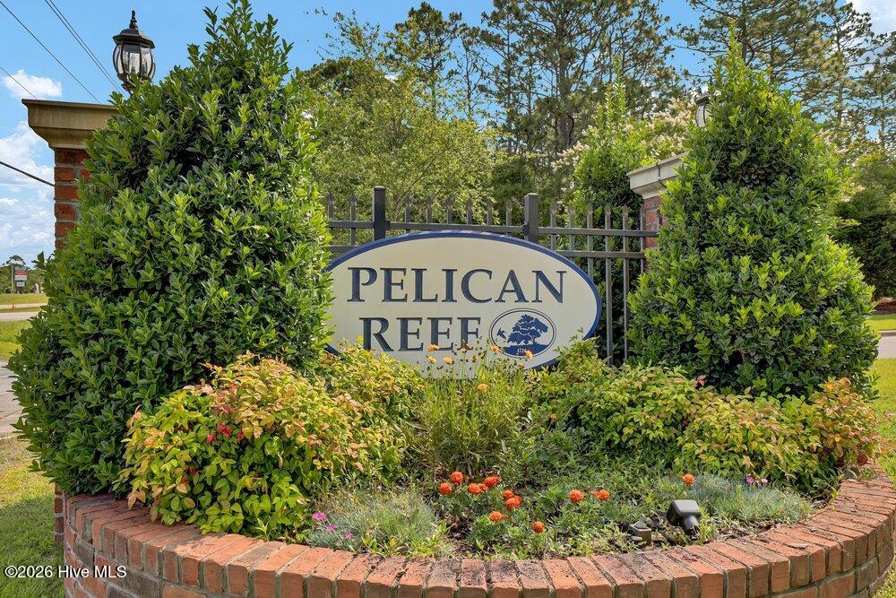 100568961 | Photo 106