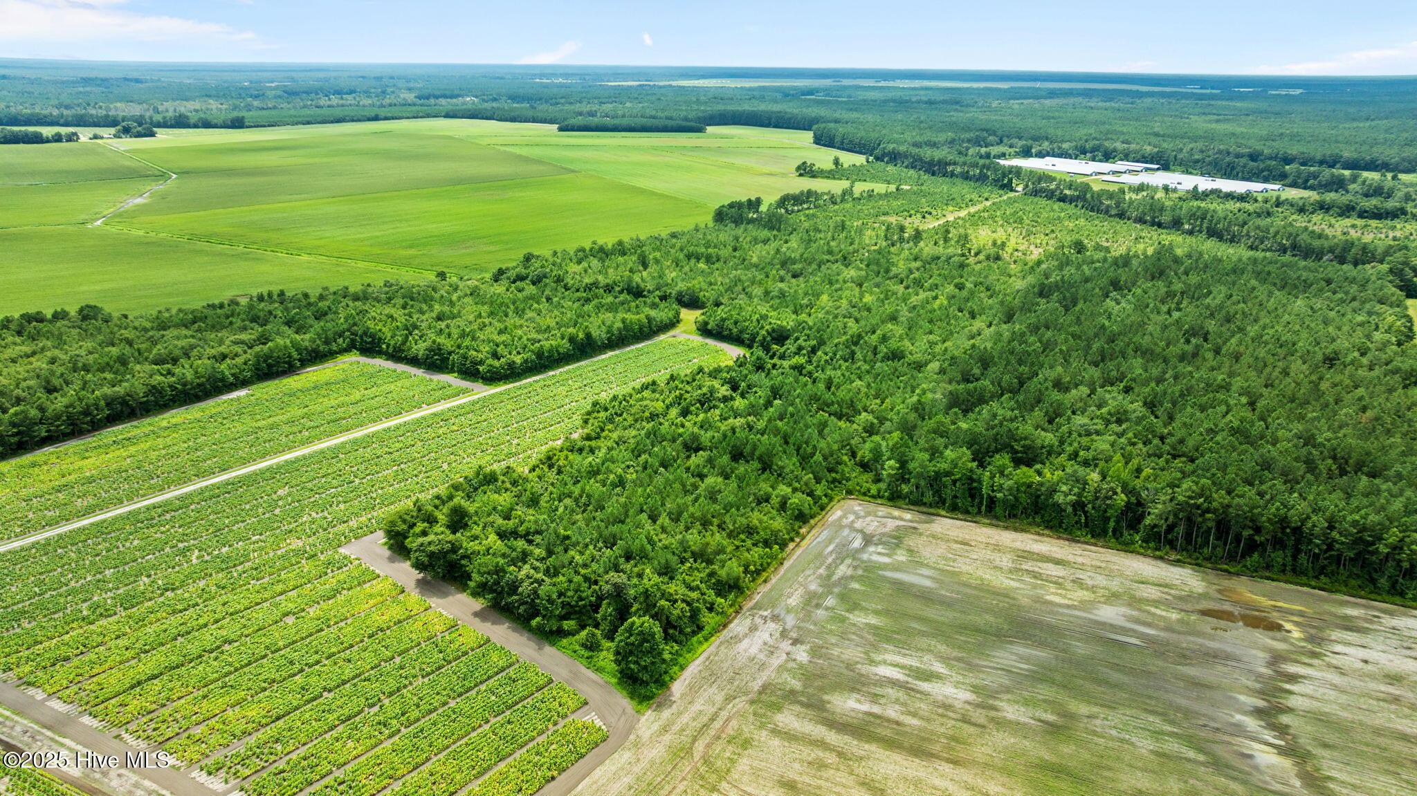 0 Green Sea Road, Garland, NC, 28441