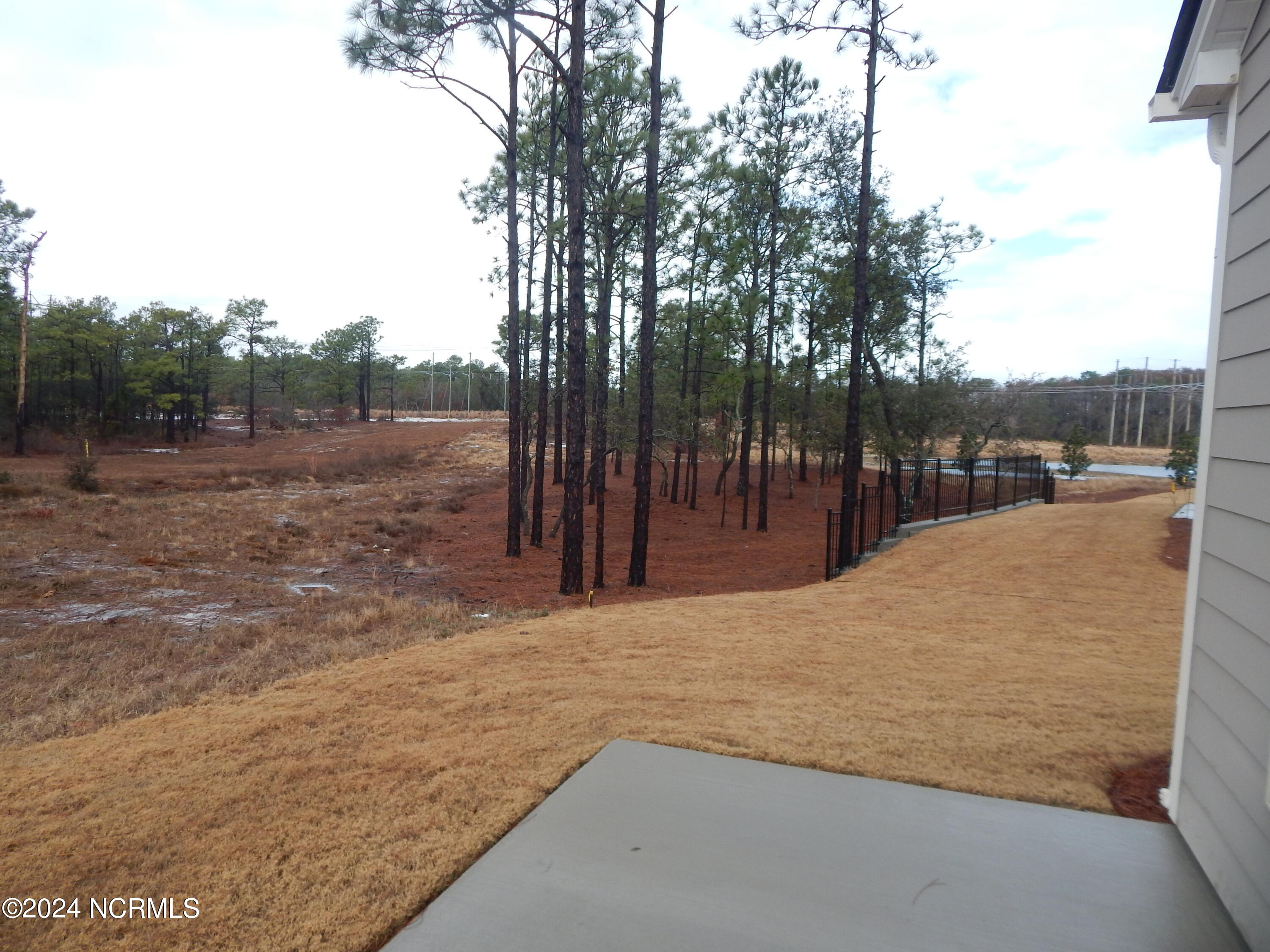 100549496 | Photo 23