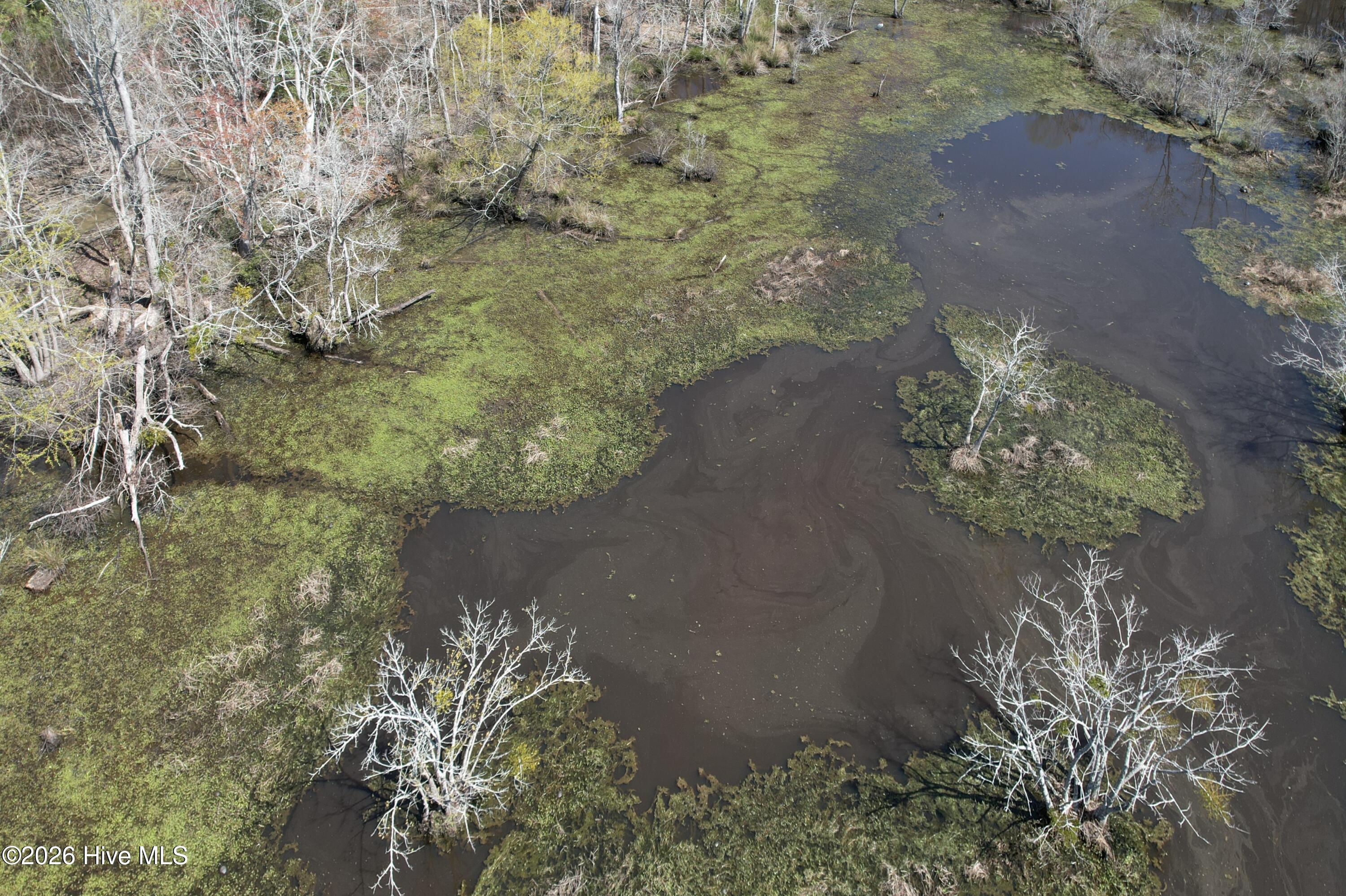 100560557 | Photo 17