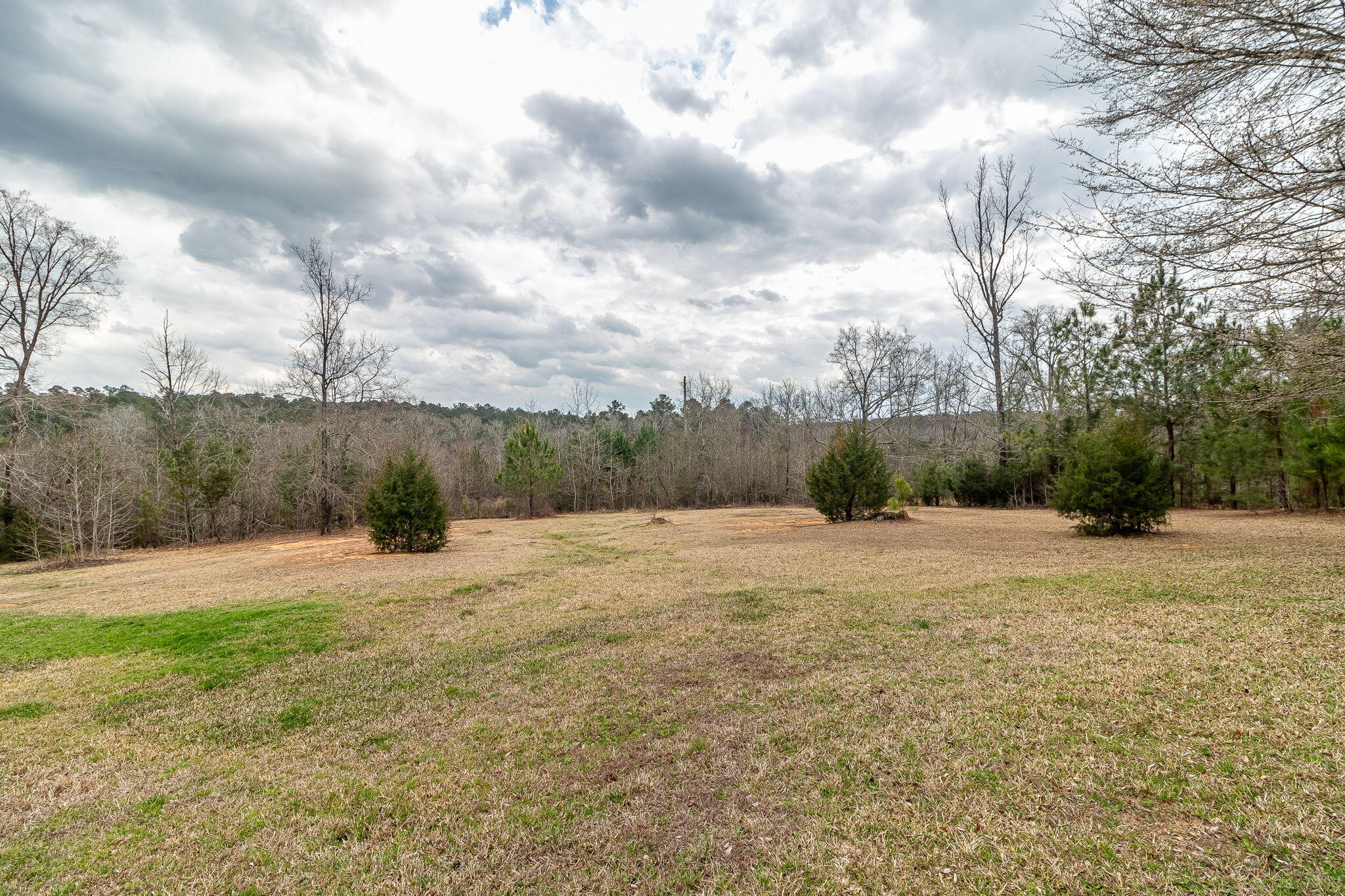 57-web-or-mls-1545 SWINT RD ©-1112