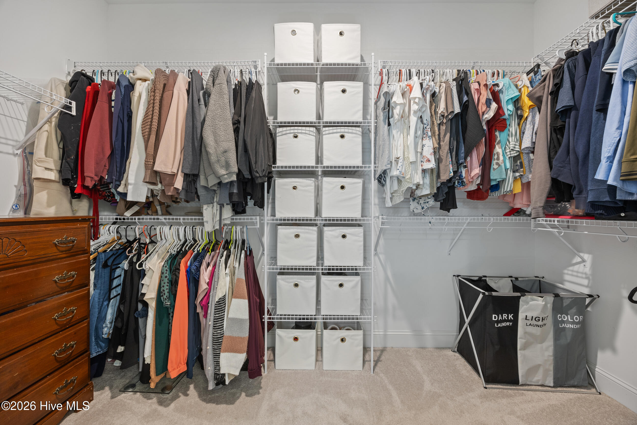 100554095 | Photo 24