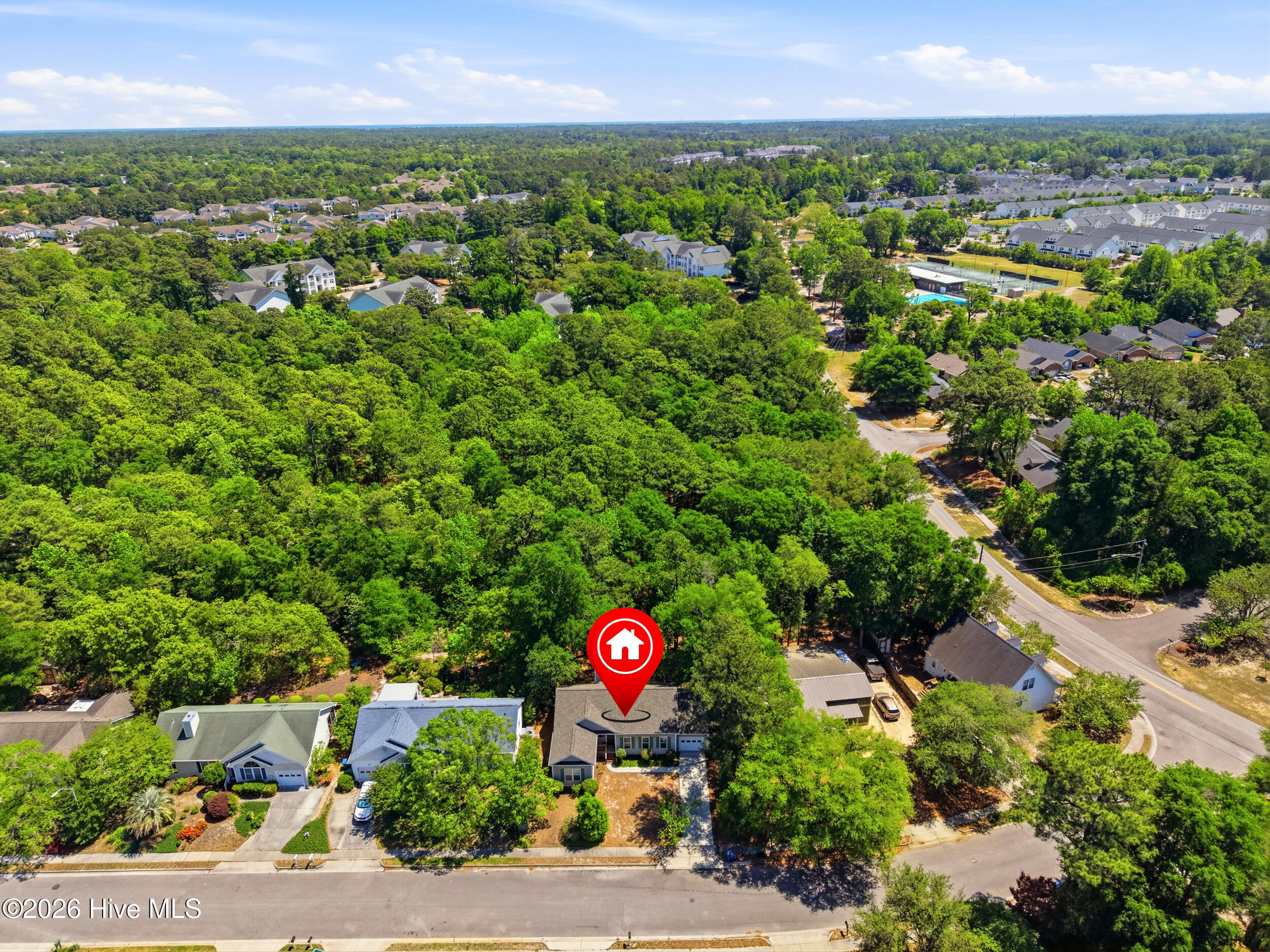 100569296 | Photo 27